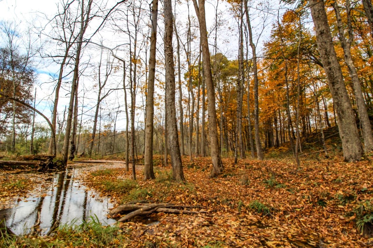 Quaker City, Guernsey County, OH Recreational Property, Hunting