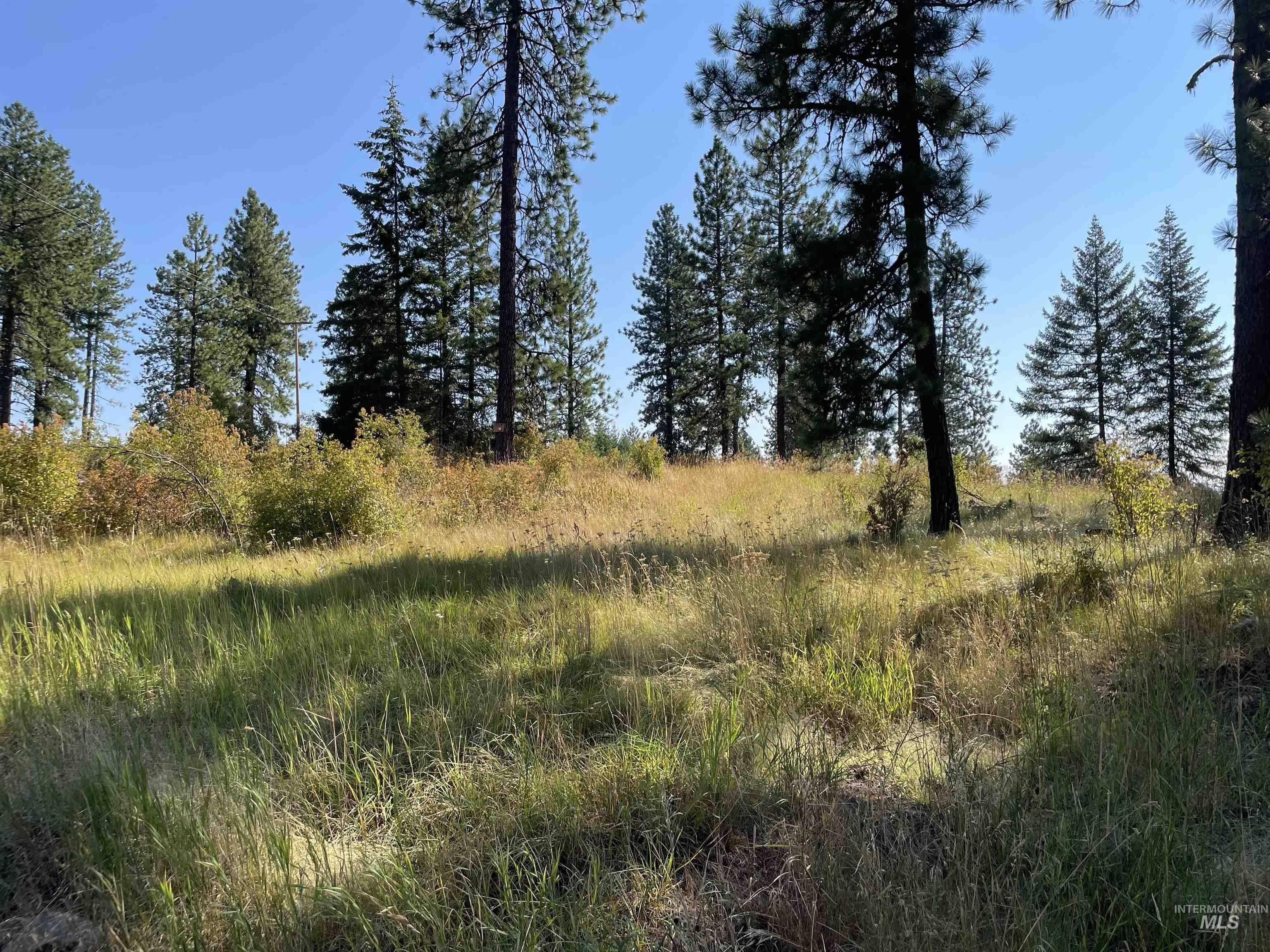 Orofino, Clearwater County, ID Undeveloped Land for sale Property ID