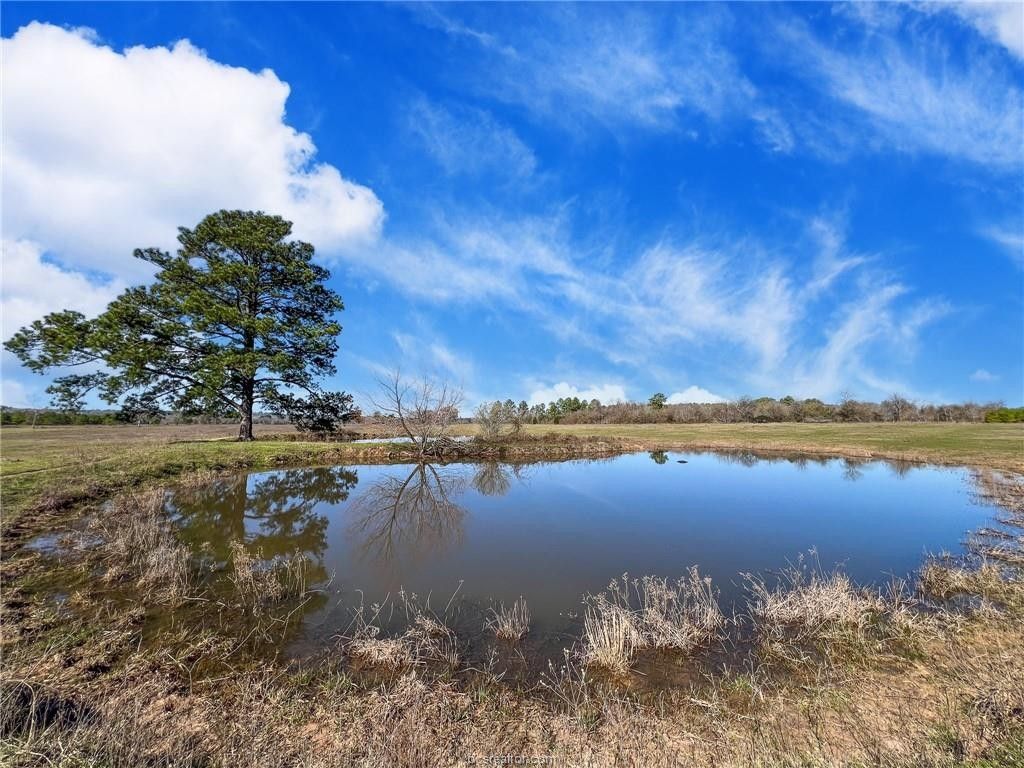 Richards, Grimes County, TX Undeveloped Land for sale Property ID