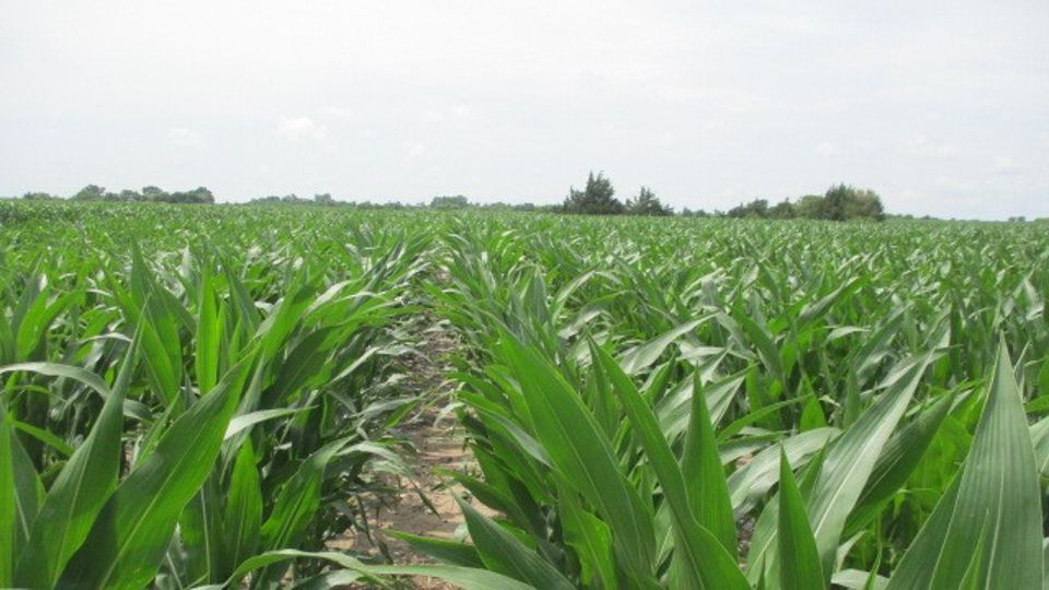 Bertrand, Gosper County, NE Farms and Ranches, Recreational Property