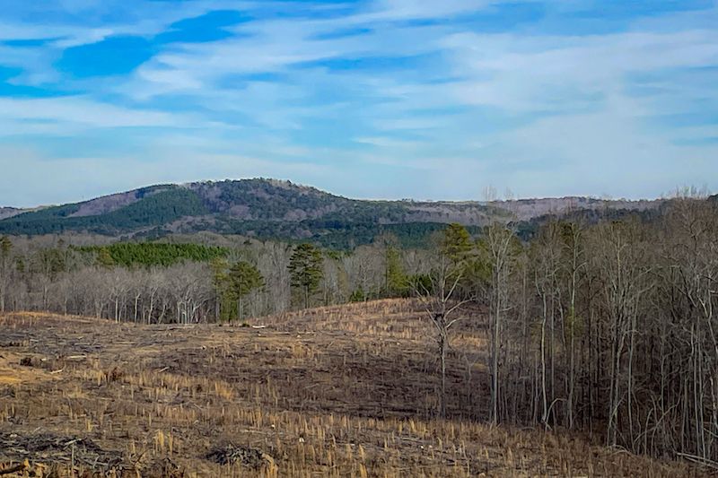 Buchanan, Haralson County, GA Recreational Property, Timberland