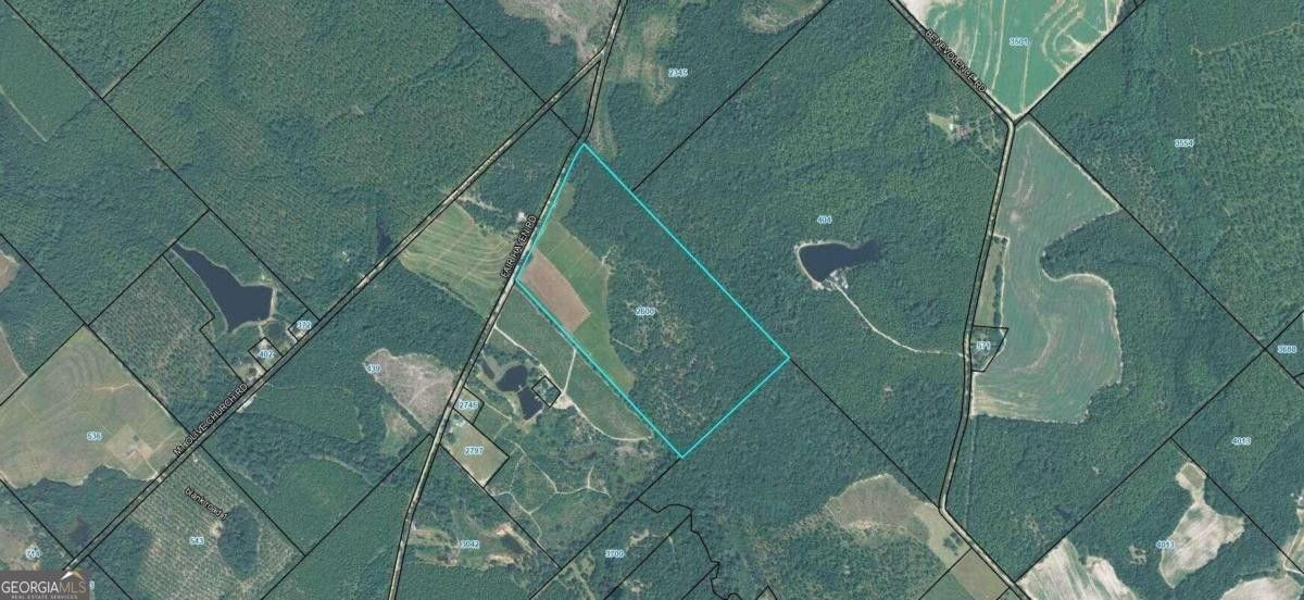 Eastman, Dodge County, GA Farms and Ranches for sale Property ID