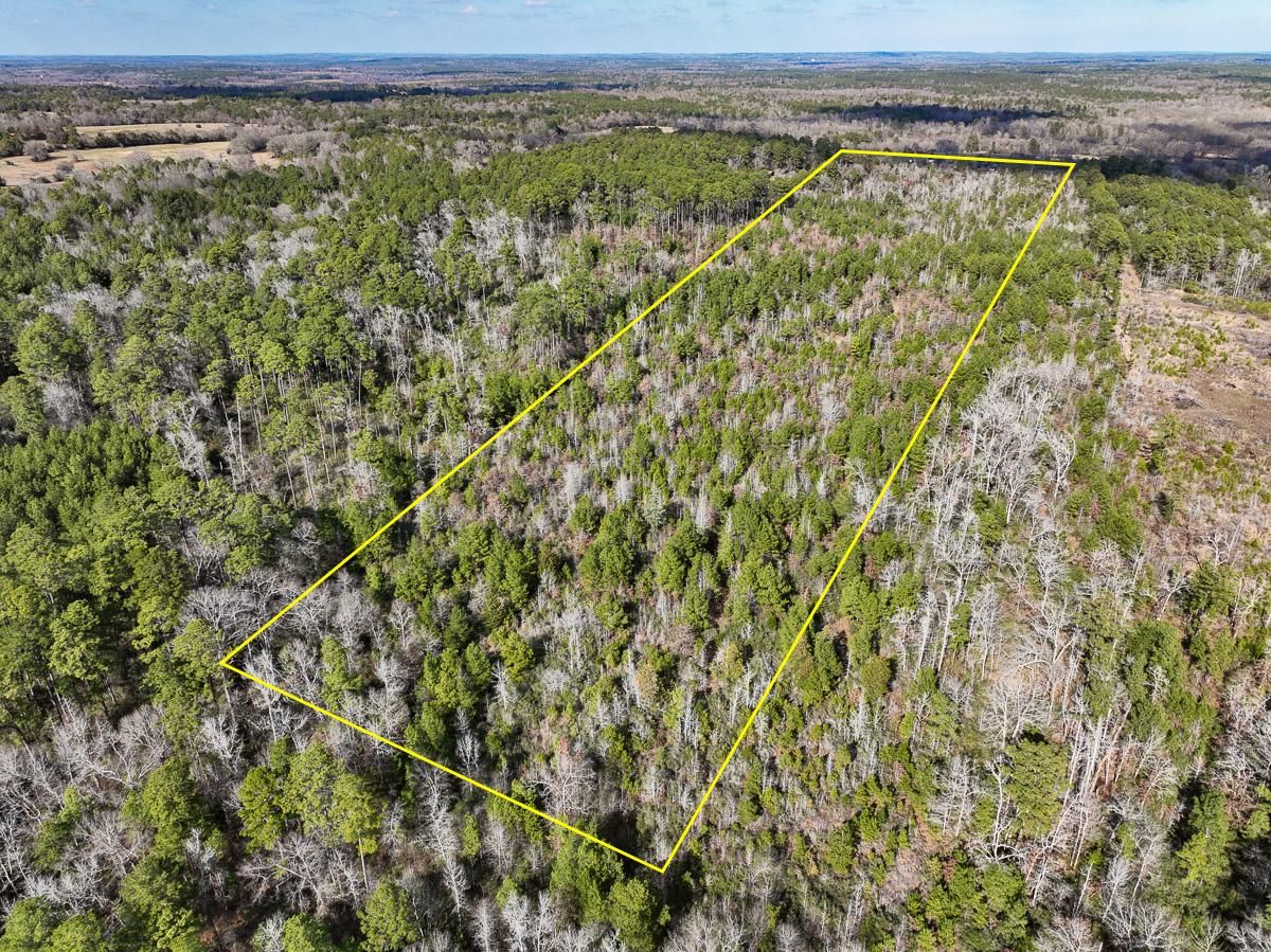 1709 County Road 2290, Elkhart, TX 75839 LandWatch