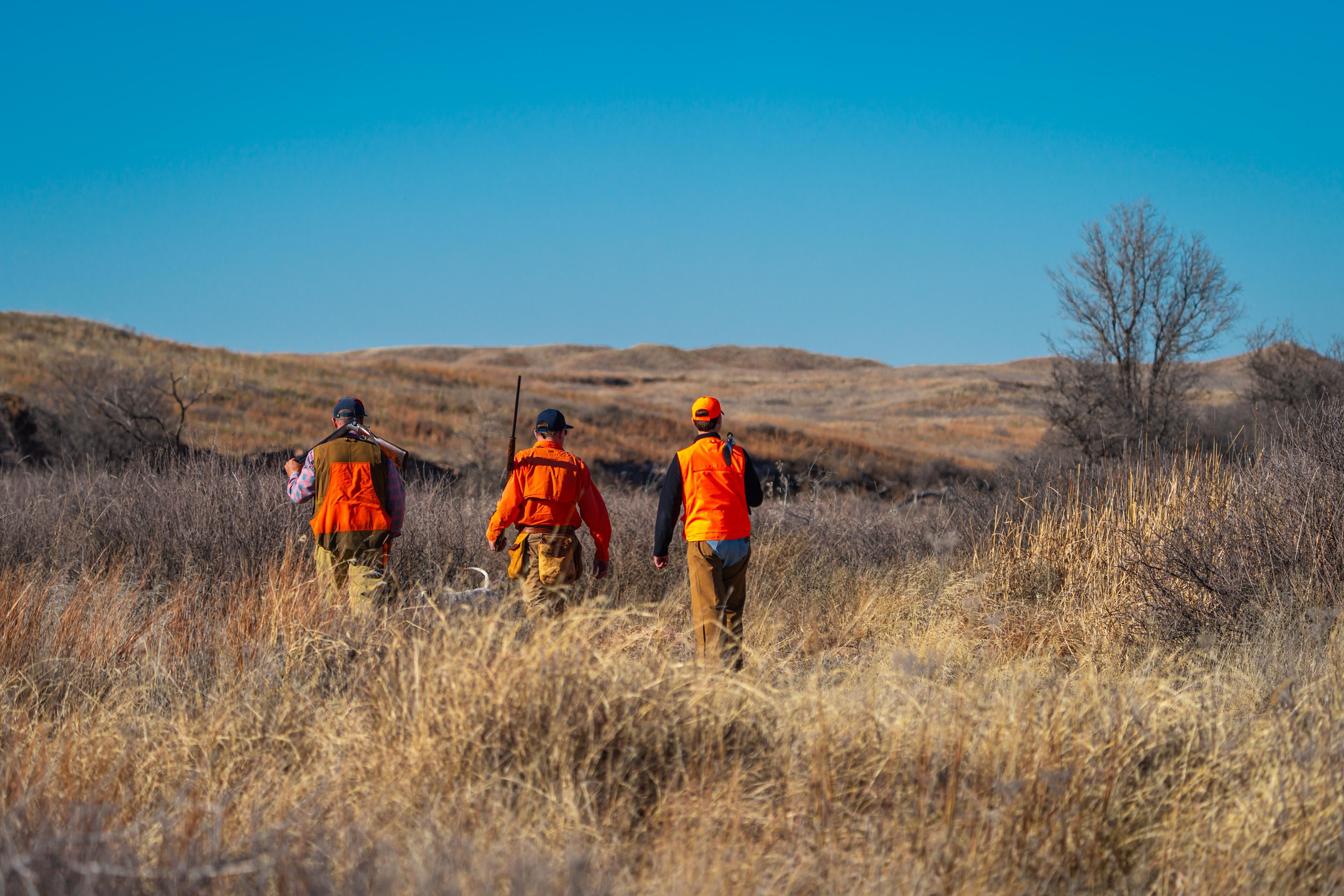 Pampa, Roberts County, TX Farms and Ranches, Recreational Property