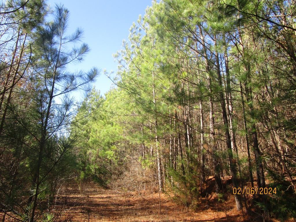 Kenbridge, Lunenburg County, VA Recreational Property, Timberland