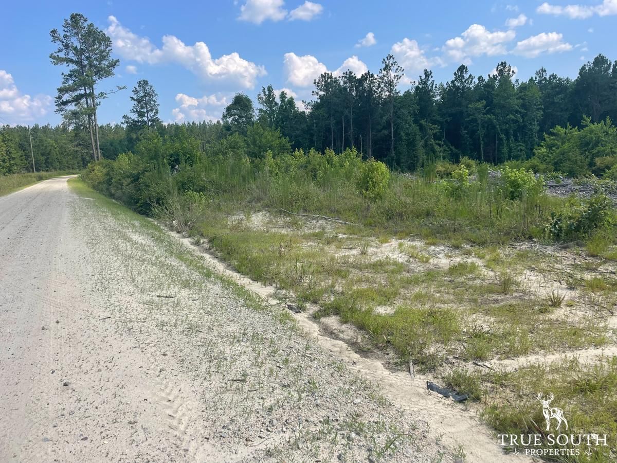 Shaffer Corner Rd, Varnville, SC 29944 LandWatch