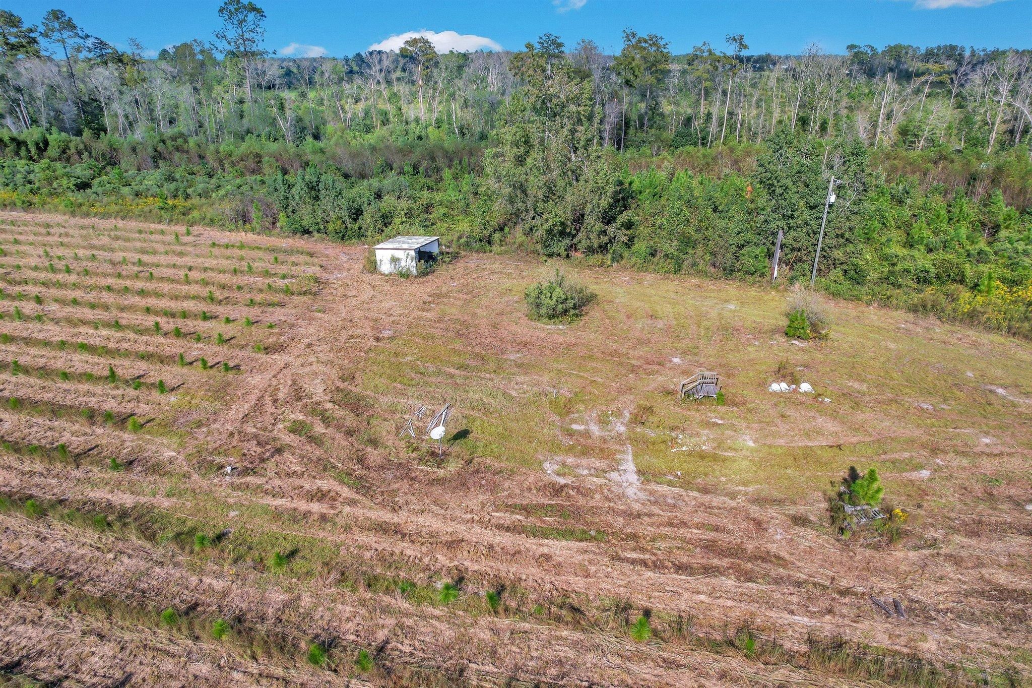 20005 Sellers Rd, Baxley, GA 31513 MLS 10251163 LandWatch