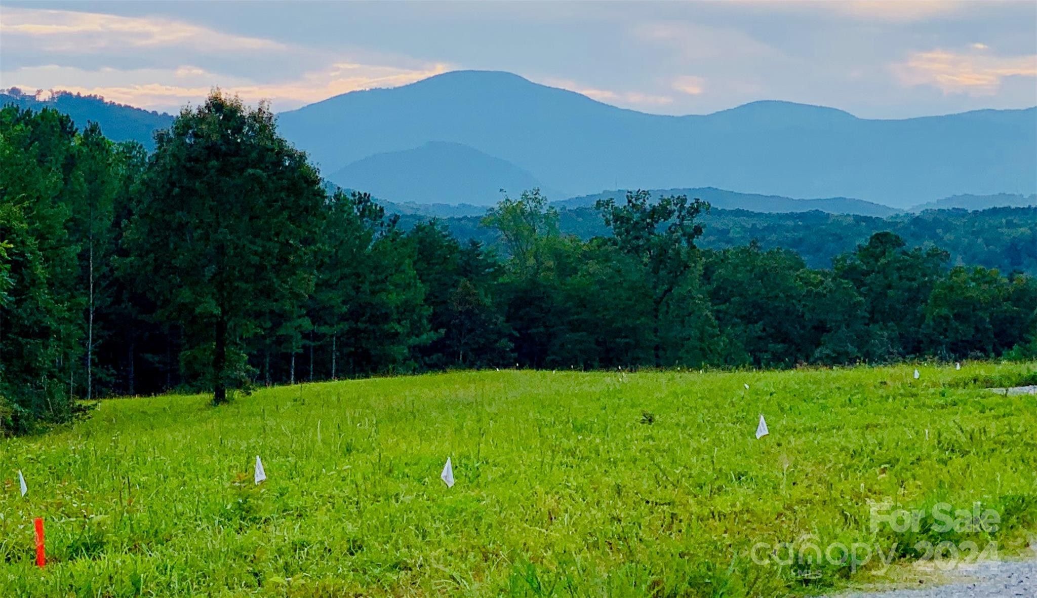 Rutherfordton, Rutherford County, NC Undeveloped Land for sale Property