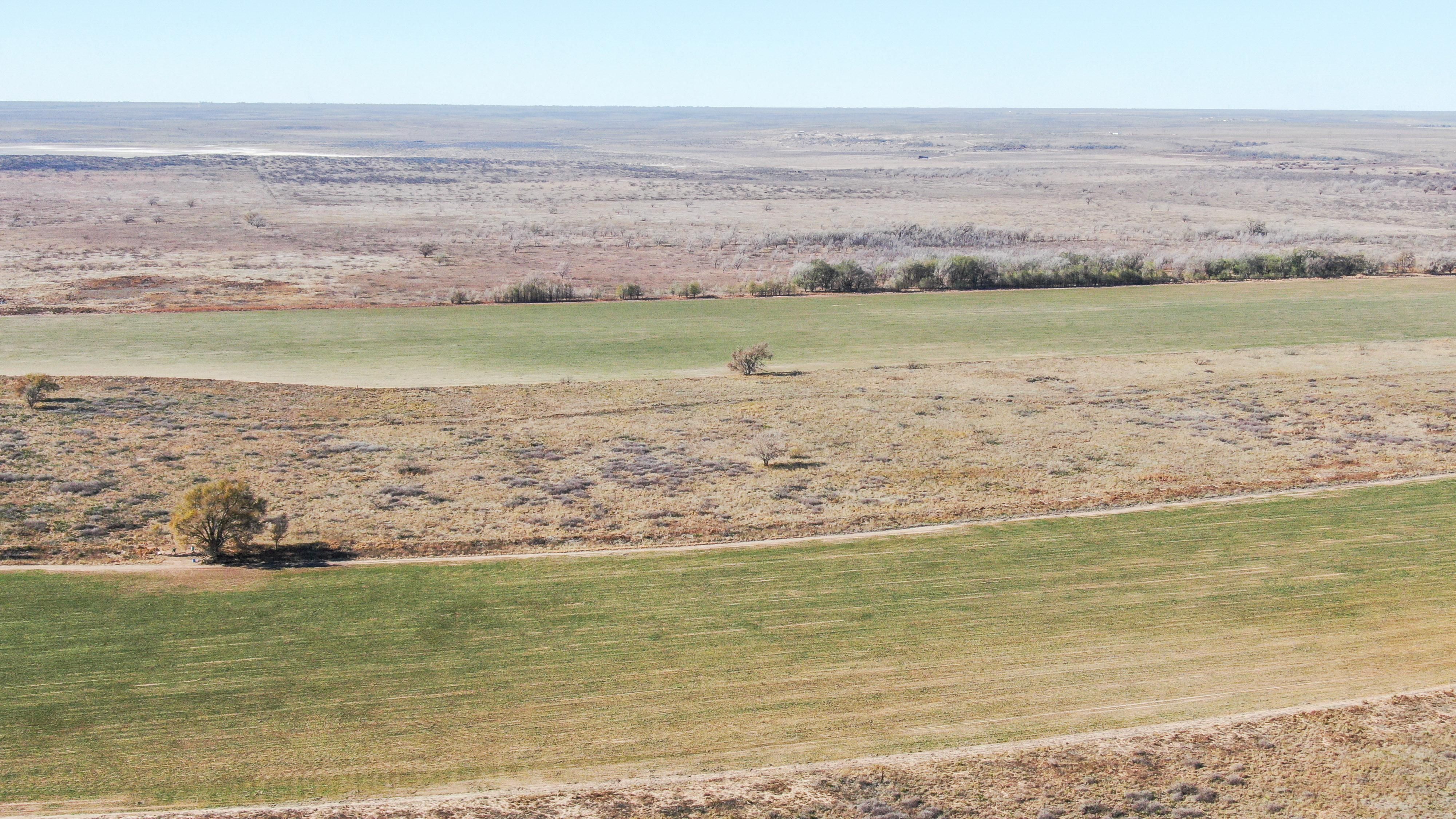 CR 328, Littlefield, TX 79339 MLS CR 328 & 1490 LandWatch