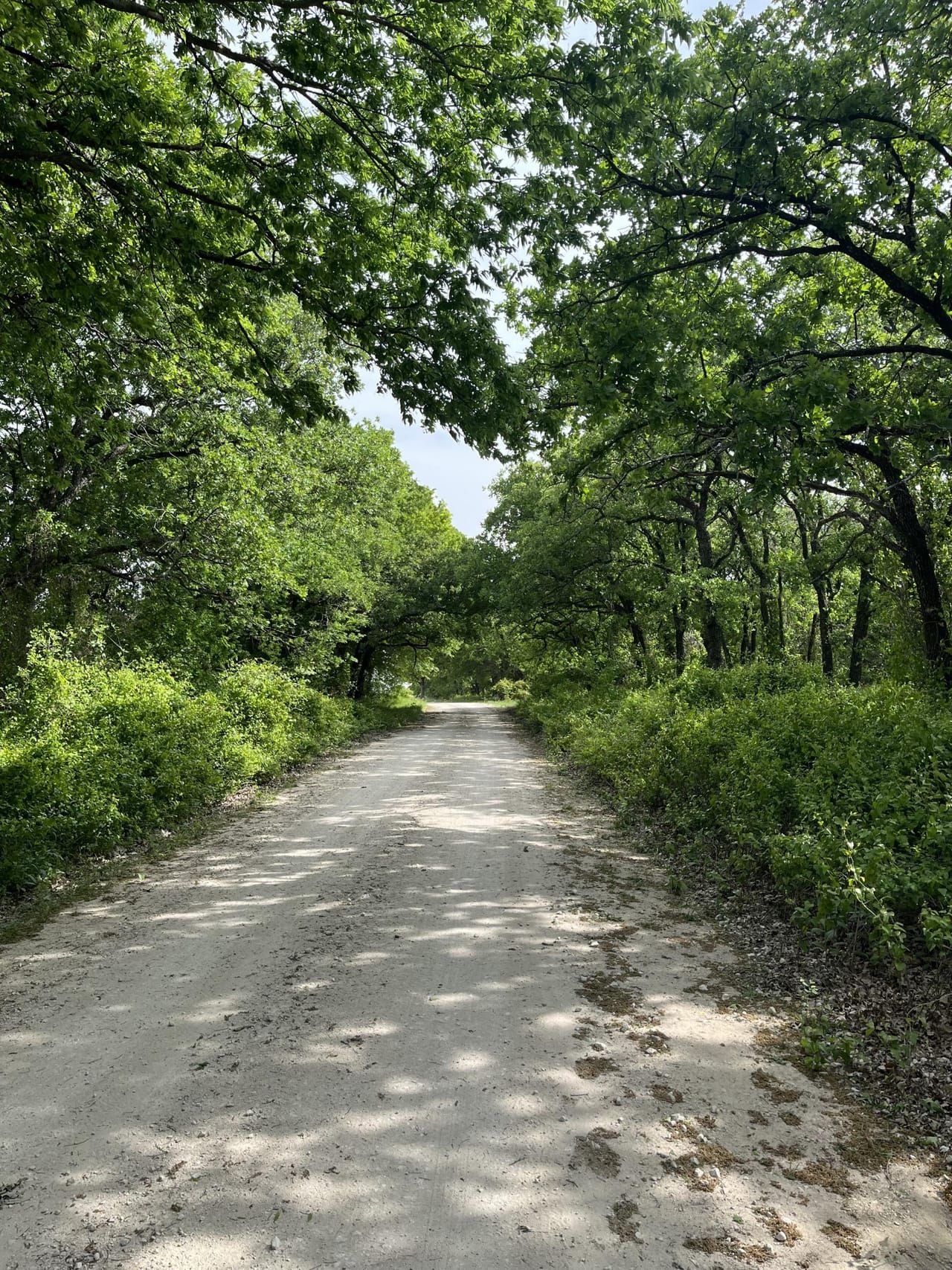 Saint Jo, Montague County, TX Farms and Ranches, Undeveloped Land for