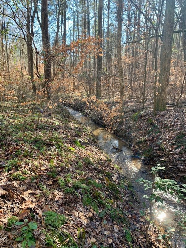 Bremen, Haralson County, GA Undeveloped Land for sale Property ID