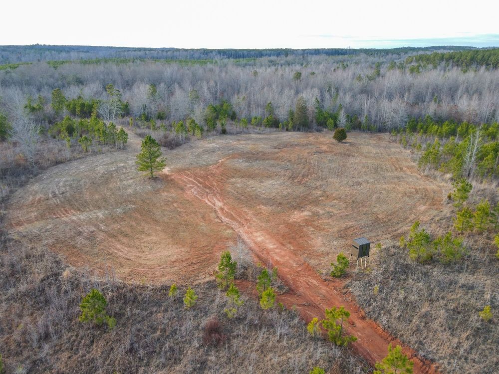 Five Points, Chambers County, AL Farms and Ranches, Timberland Property