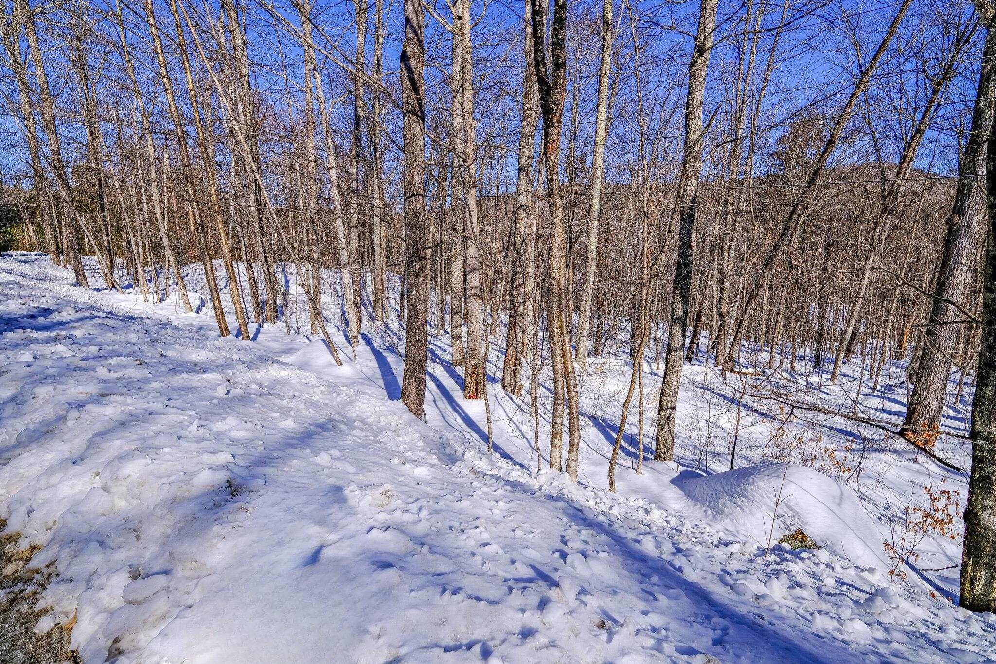 Plymouth, Windsor County, VT Undeveloped Land, Homesites for sale