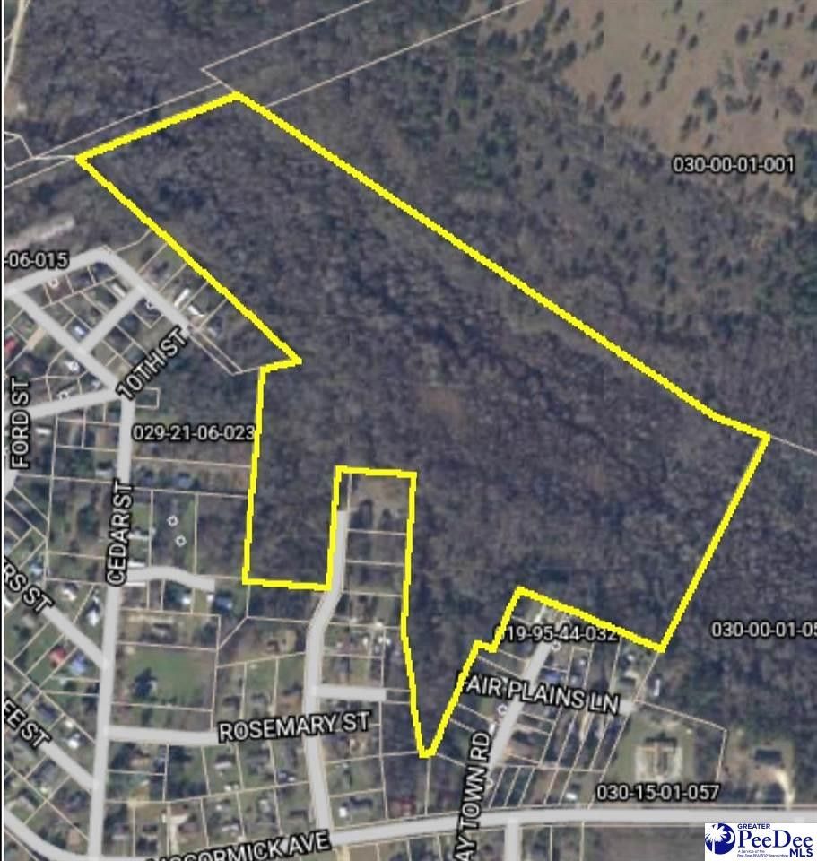Mccoll, Marlboro County, SC Undeveloped Land for sale Property ID
