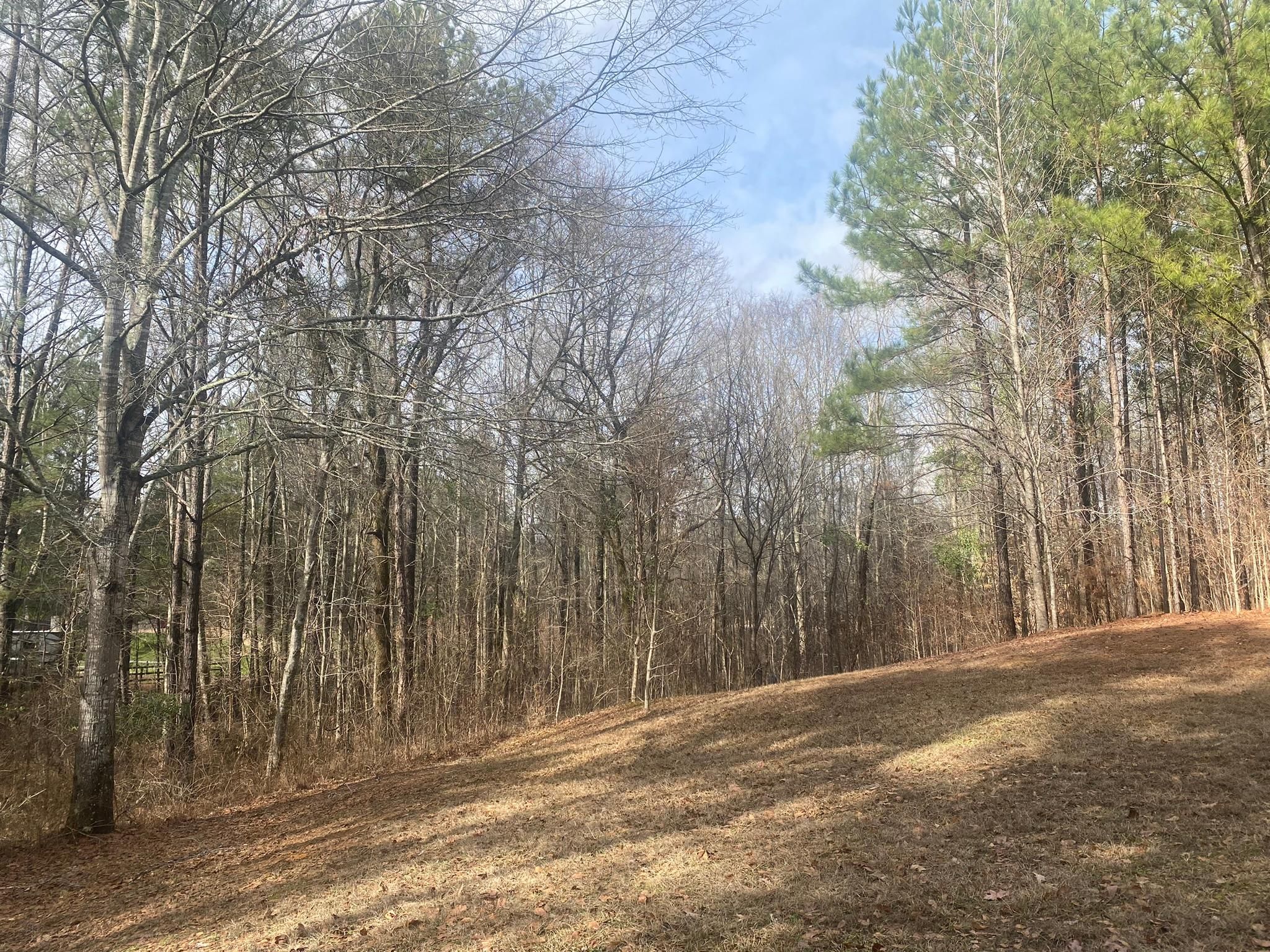 North Brandon Blvd, Brandon, MS 39042 LandWatch