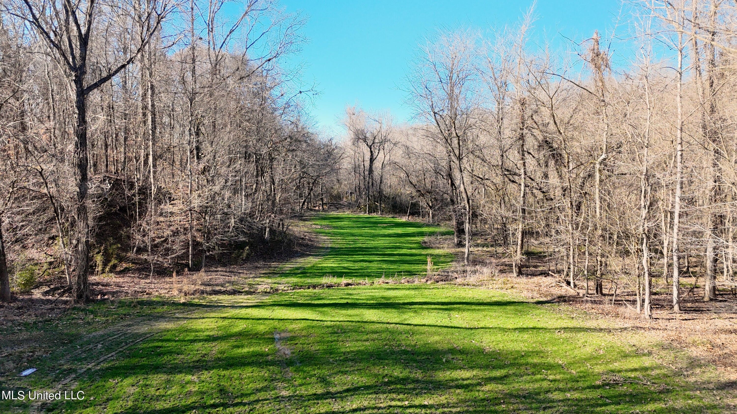 Yazoo City, Yazoo County, MS Undeveloped Land for sale Property ID
