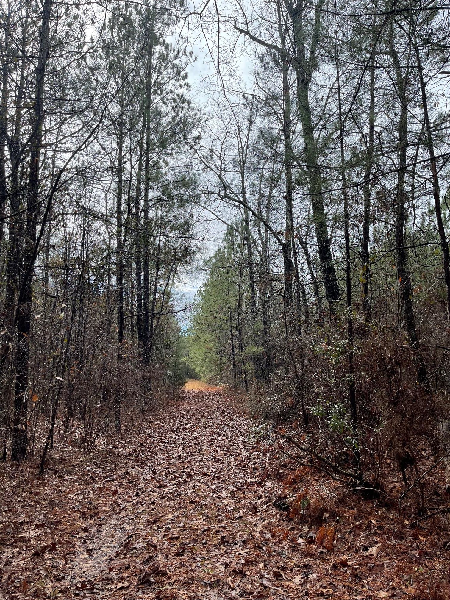 Spurline Road, Buhl, AL 35446 MLS 160913 LandWatch