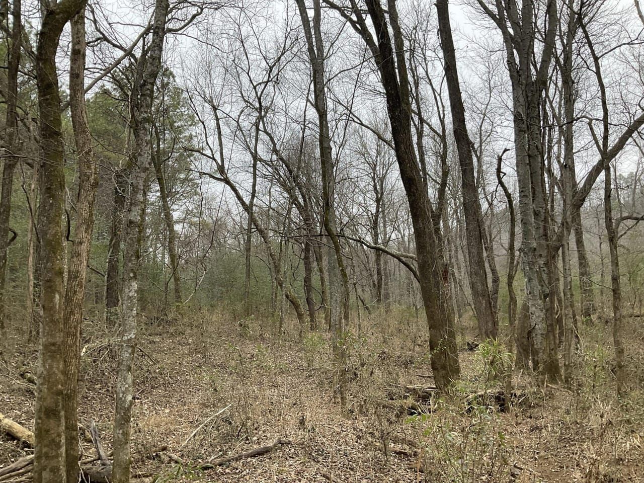 34.32 acres in Hector, AR, 72843 LandWatch