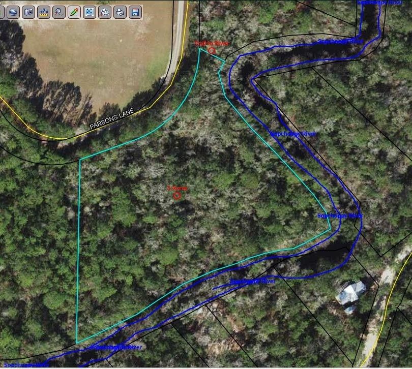 Sopchoppy, Wakulla County, FL Undeveloped Land, Lakefront Property