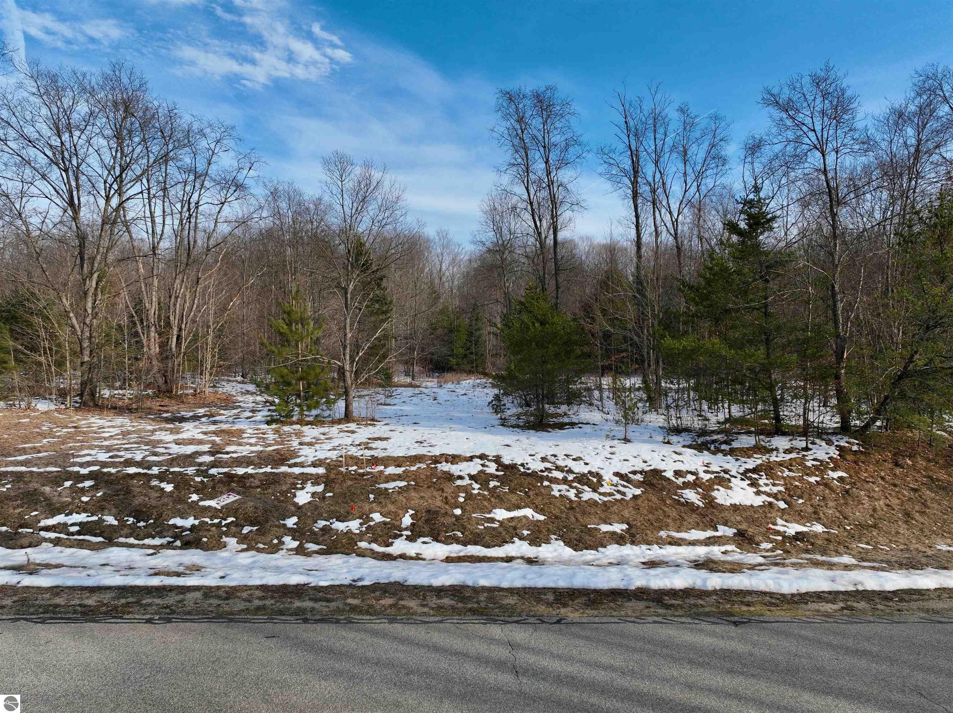 Cadillac, Wexford County, MI Undeveloped Land, Homesites for sale