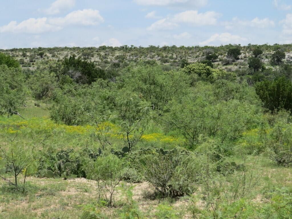 82.22 acres in Sheffield, TX, 79781 LandWatch
