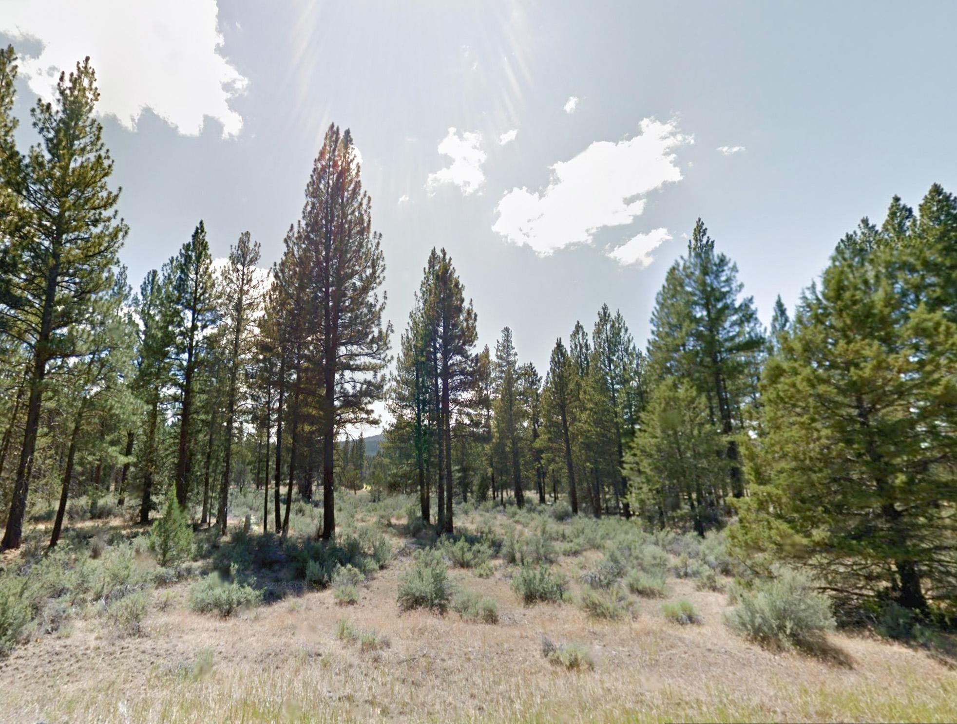 Bunting Drive, Bonanza, OR 97623 LandWatch