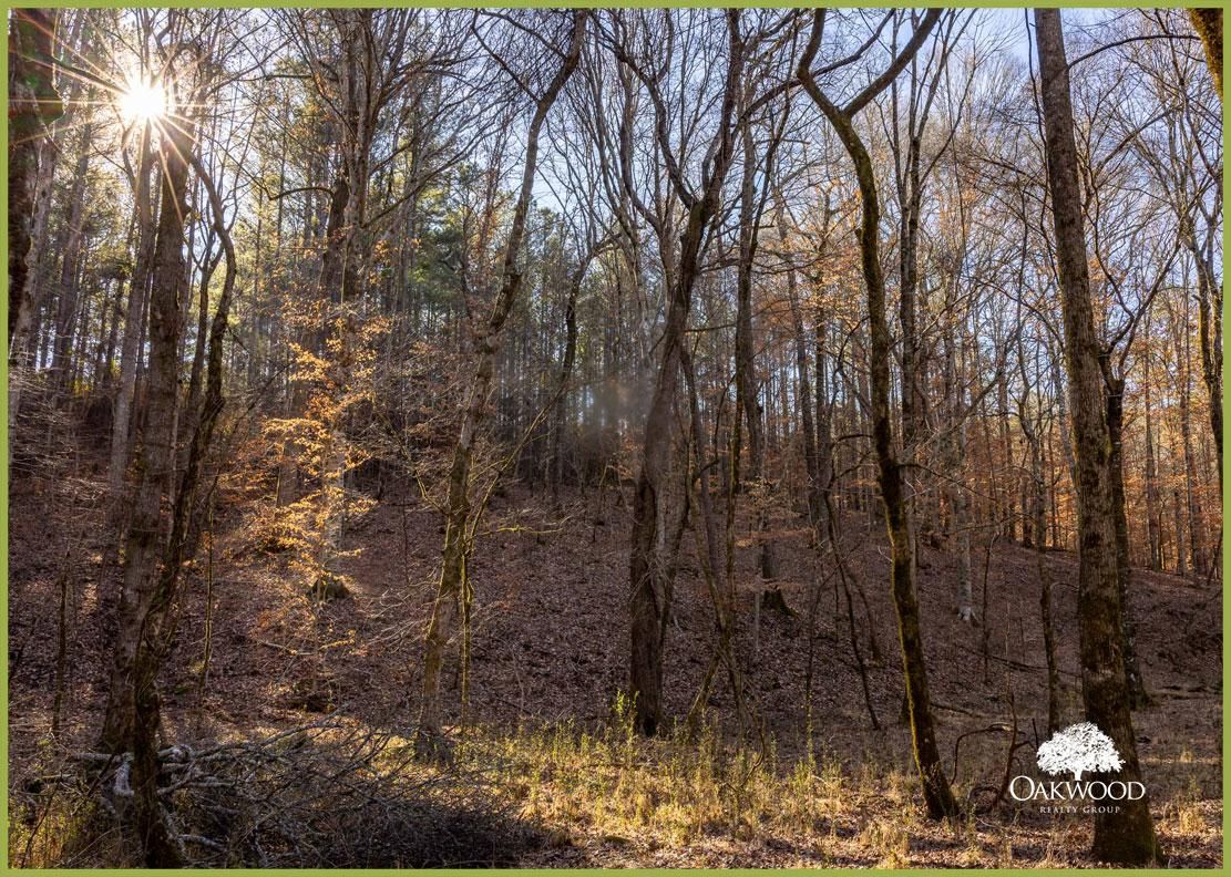 Lagrange, Troup County, GA Recreational Property, Timberland Property