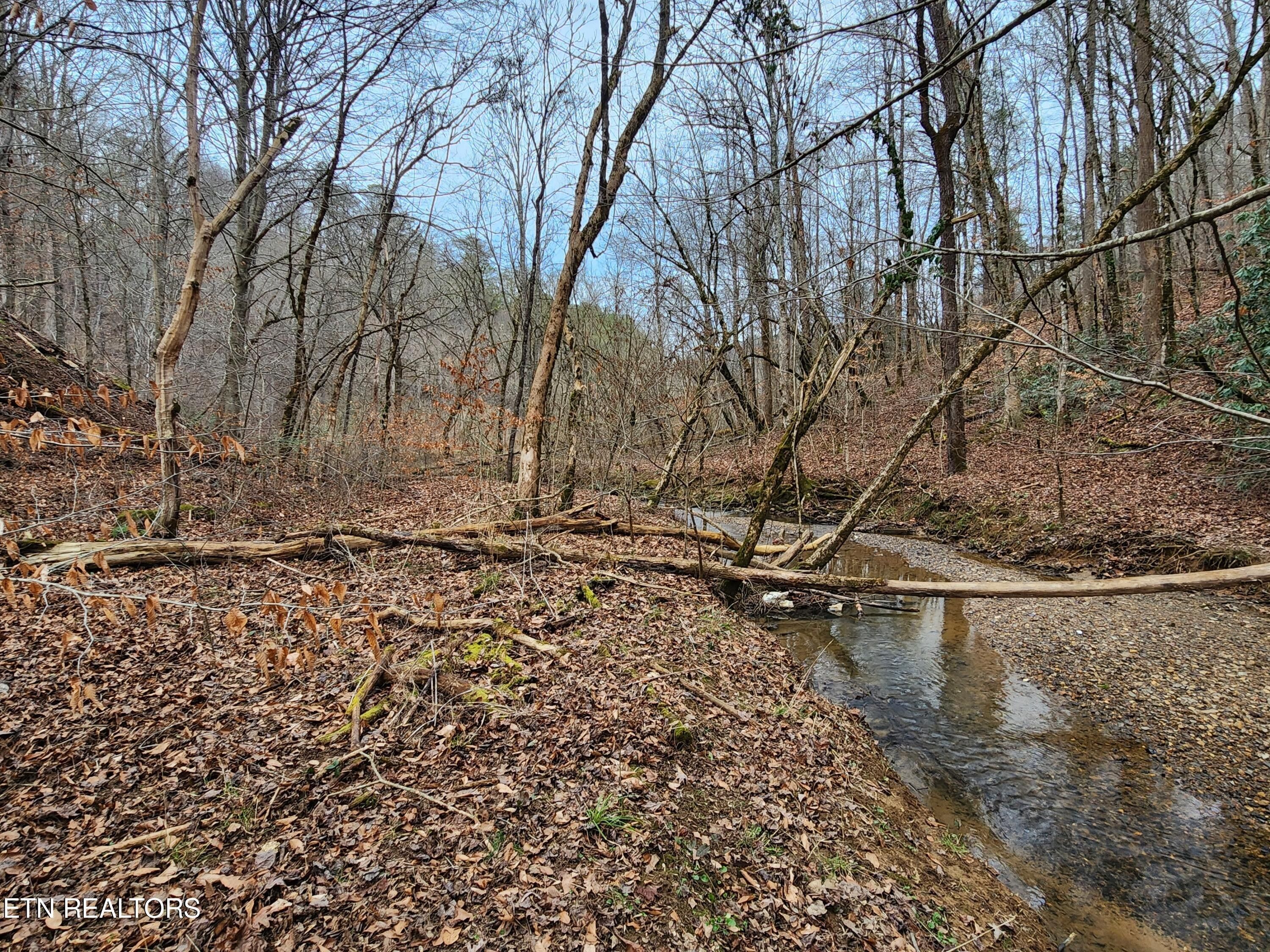 Cosby, Cocke County, TN Undeveloped Land, Homesites for sale Property