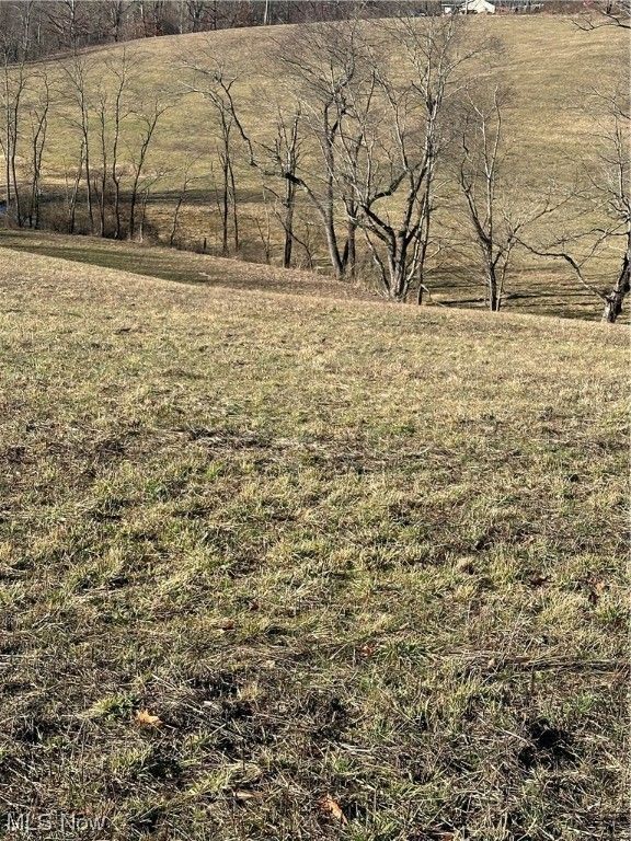 New Cumberland, Hancock County, WV Undeveloped Land for sale Property