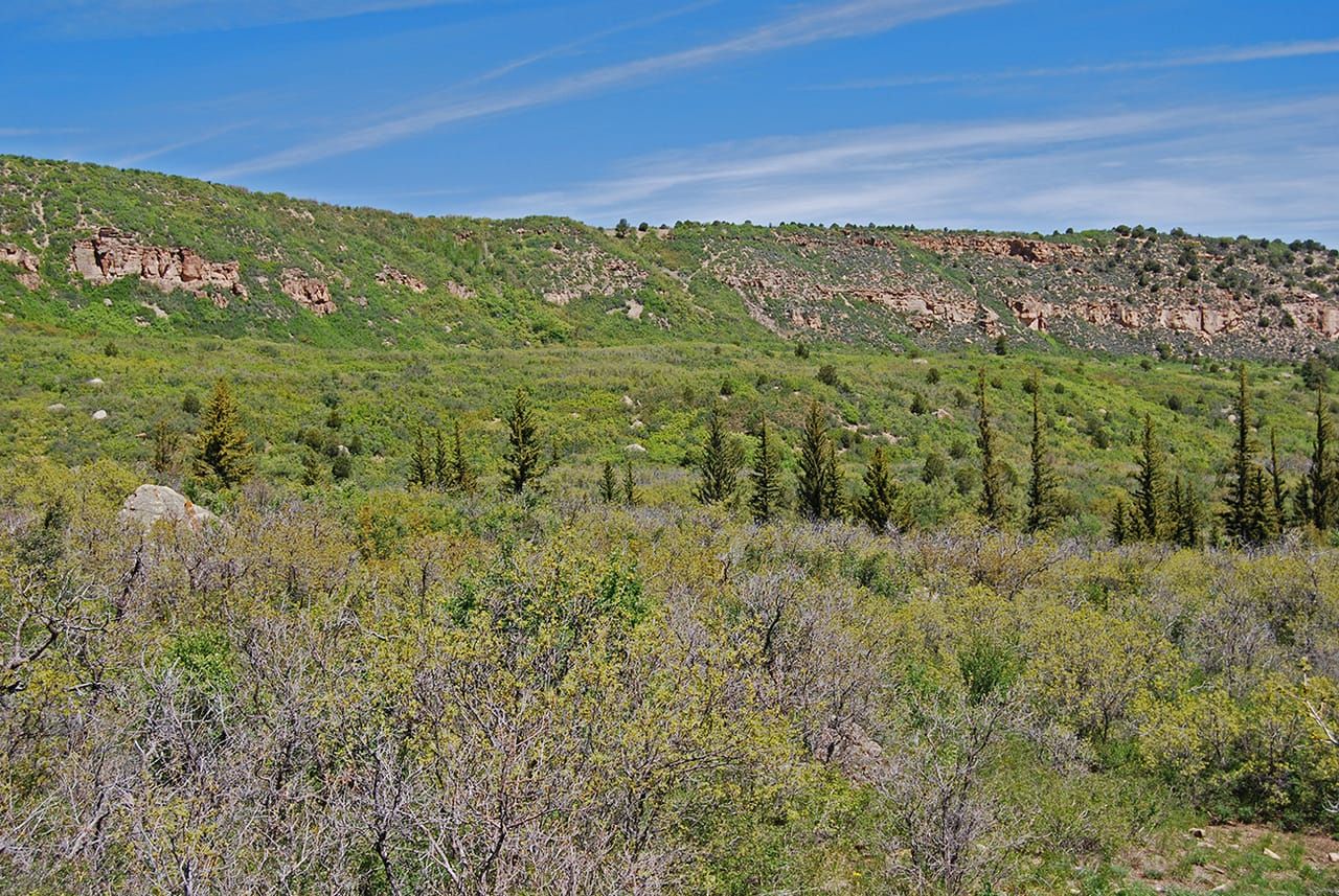 Montrose, Montrose County, CO Farms and Ranches, Recreational Property