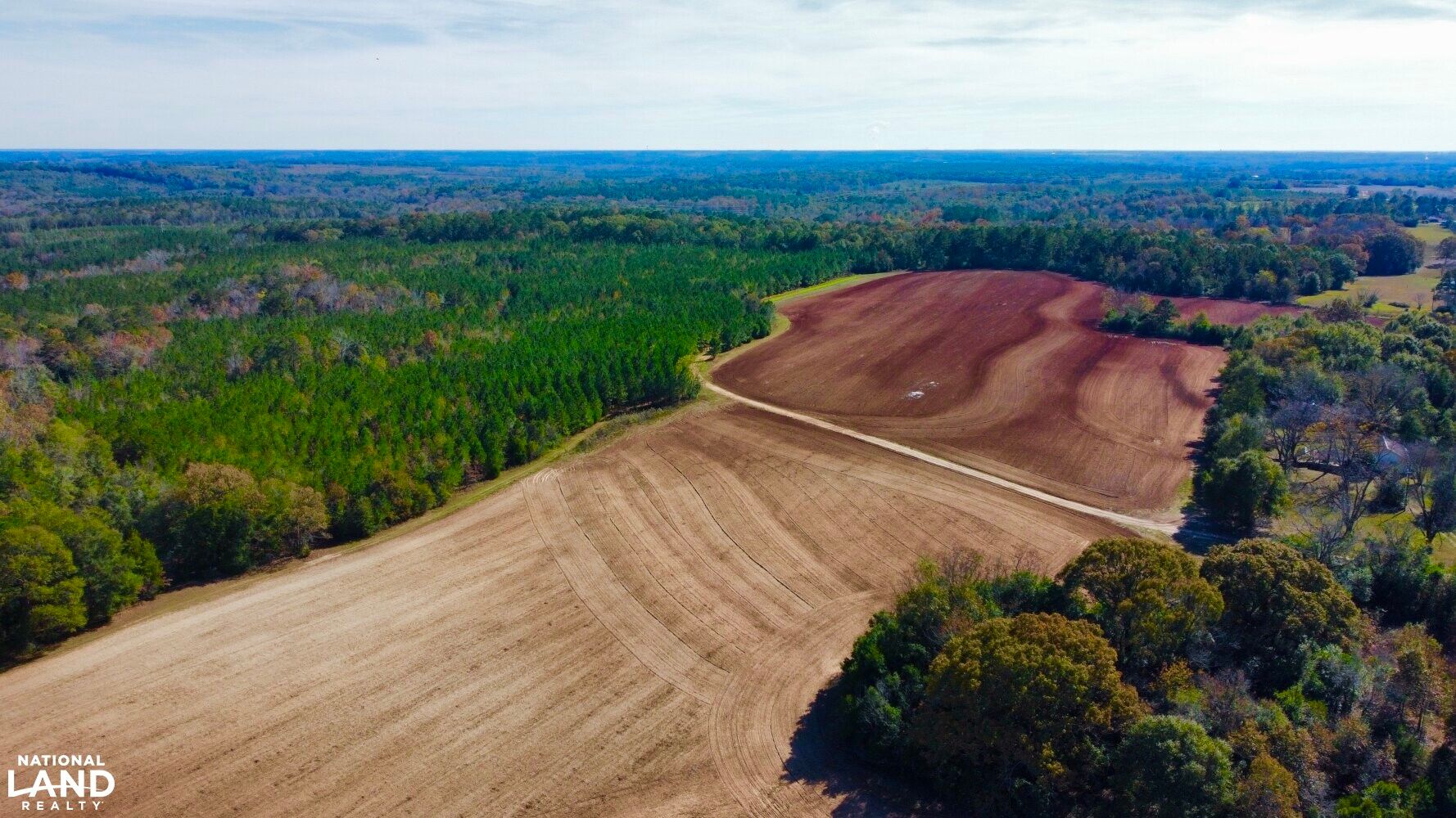 Abbeville, Henry County, AL Recreational Property, Timberland Property