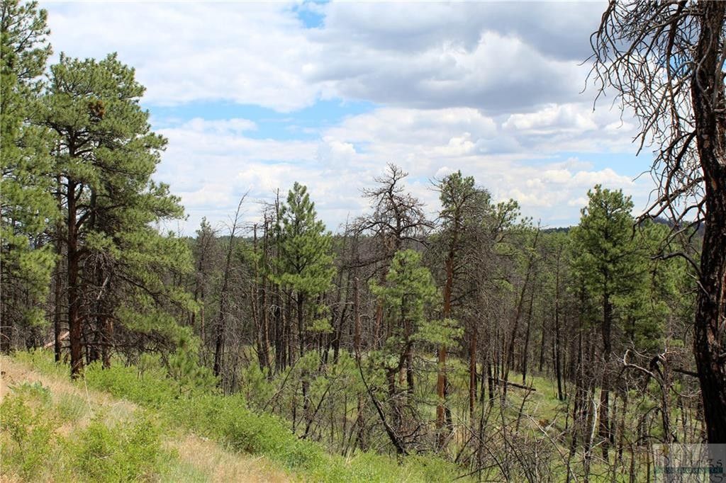 Roundup, Musselshell County, MT Undeveloped Land for sale Property ID