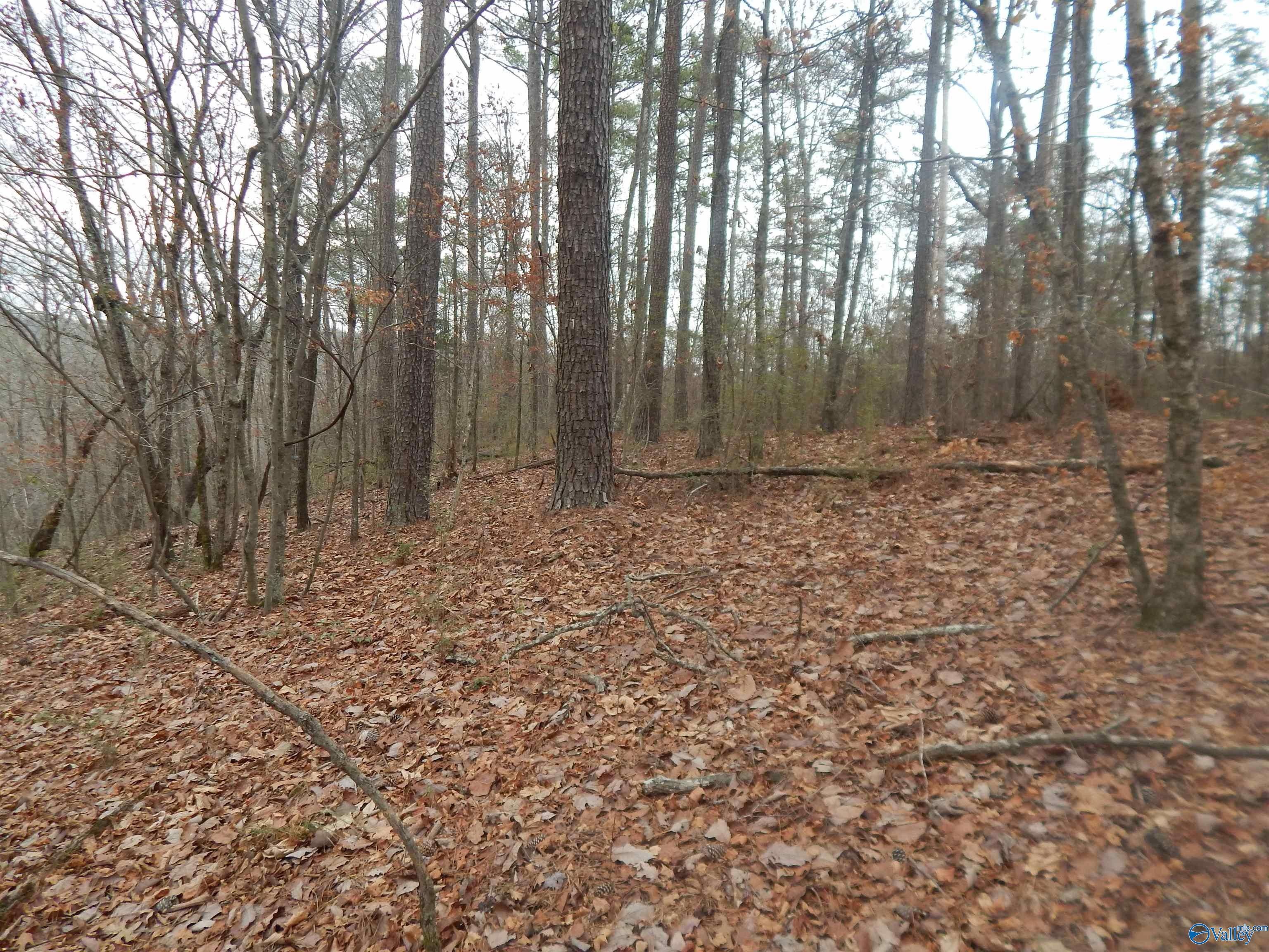 Irondale, Jefferson County, AL Undeveloped Land for sale Property ID