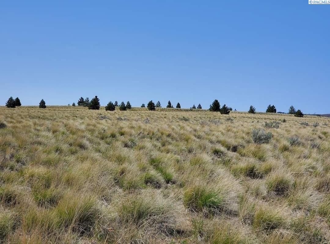 Bickleton, Klickitat County, WA Undeveloped Land for sale Property ID