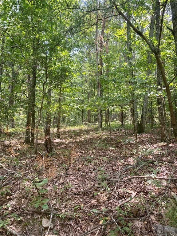 Jasper, Pickens County, GA for sale Property ID 418371627 LandWatch