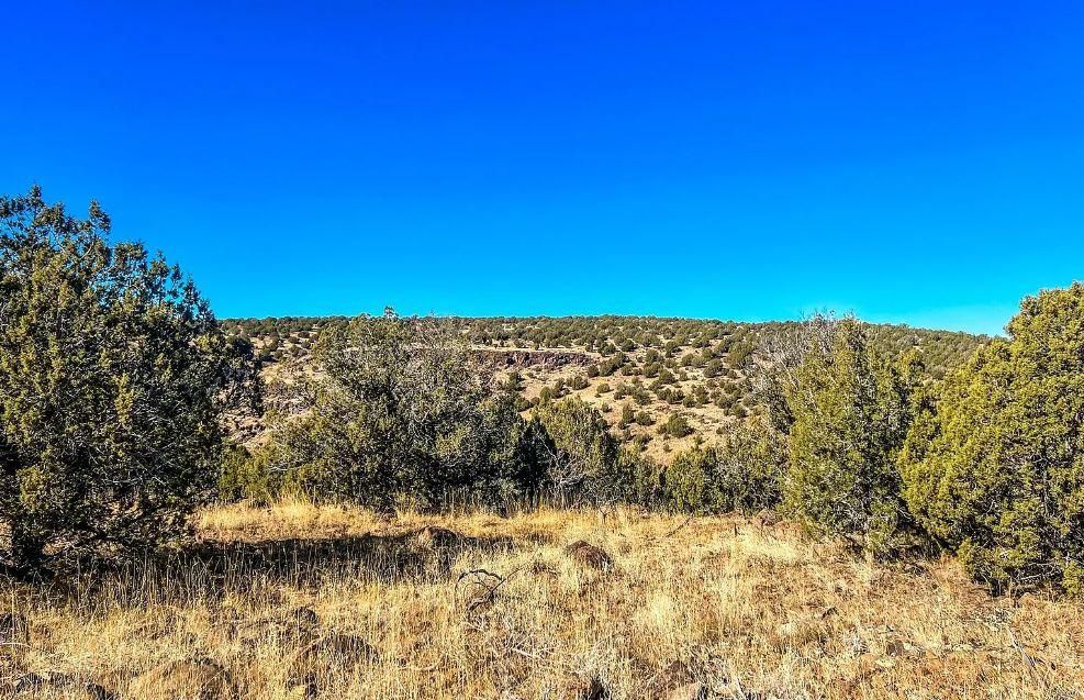 Williams, Coconino County, AZ Recreational Property, Undeveloped Land
