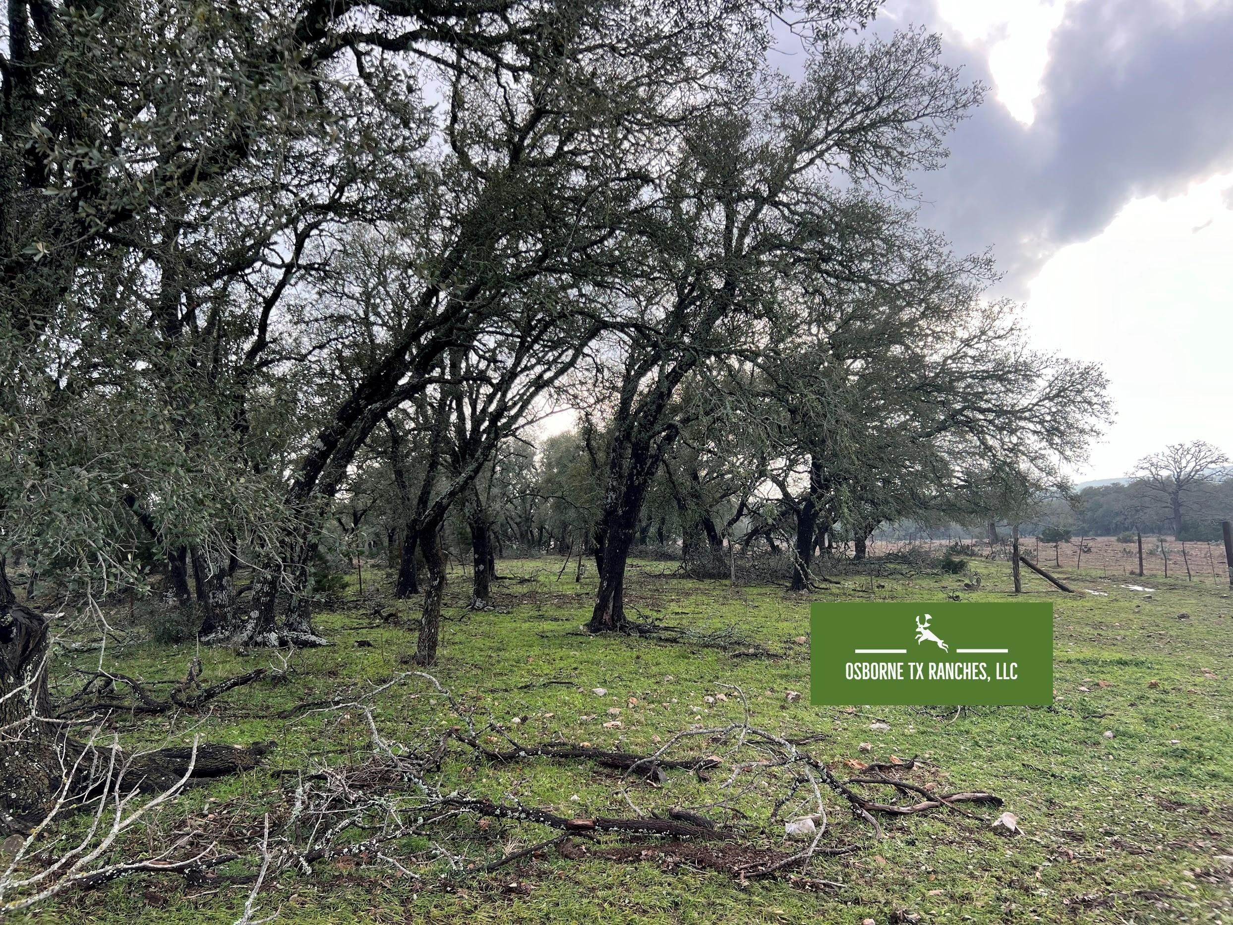 Kerrville, Kerr County, TX Farms and Ranches, Hunting Property for sale Property ID 418880040