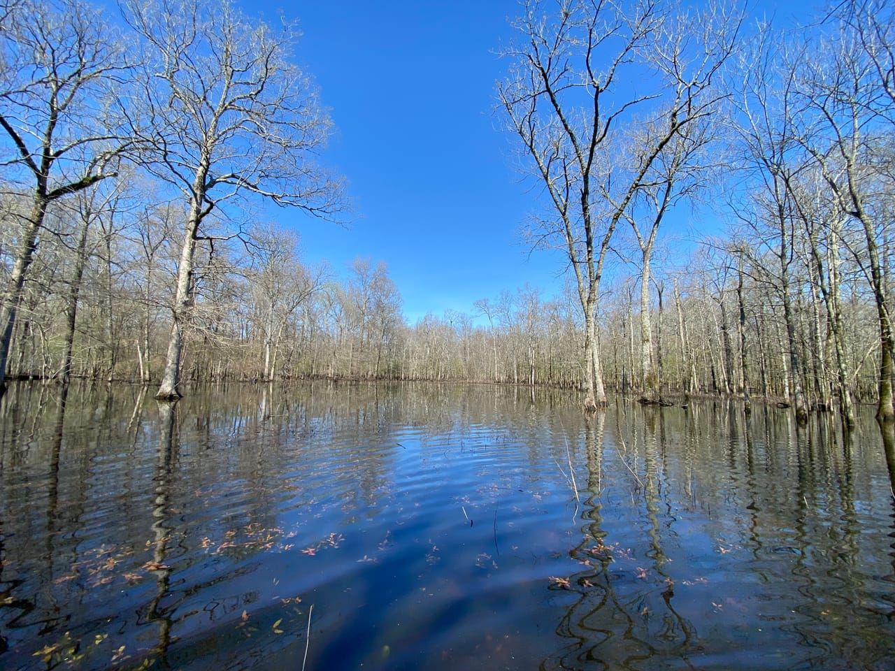 Pumpkin Bend, Woodruff County, AR Recreational Property, Hunting