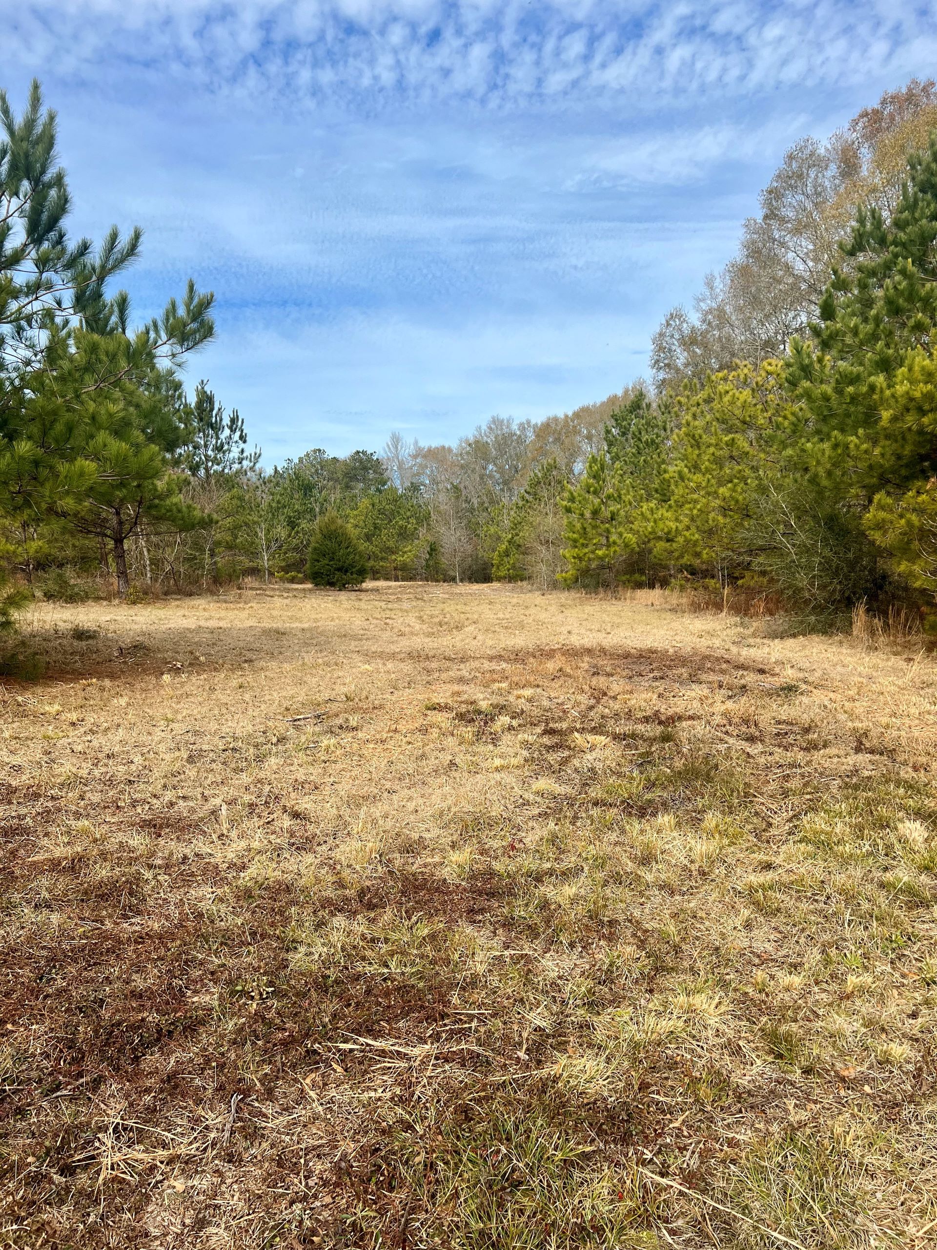 52 acres in McKenzie, AL, 36456 LandWatch