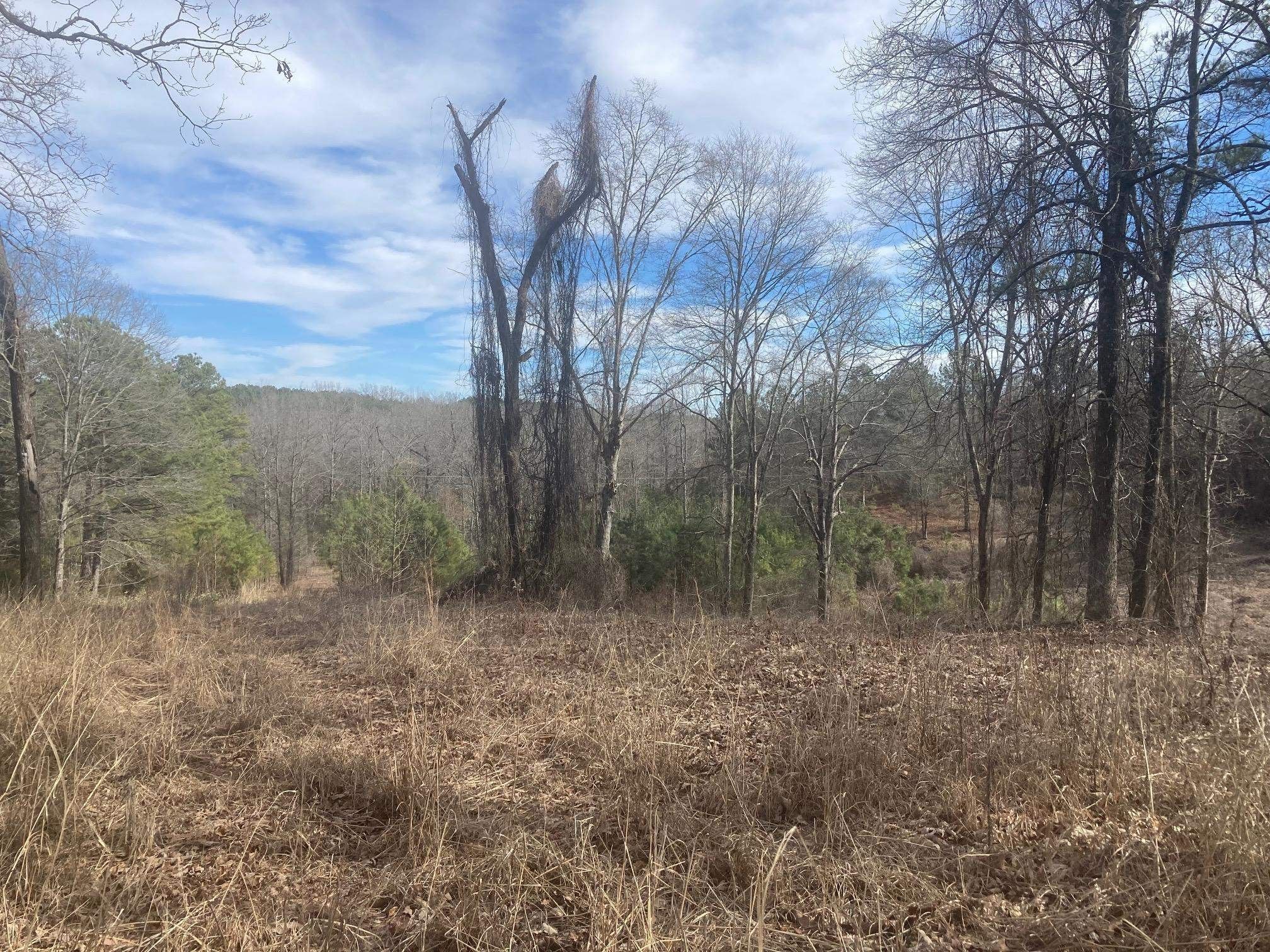 351 CR 321, Oxford, MS 38655 MLS 10165729 LandWatch
