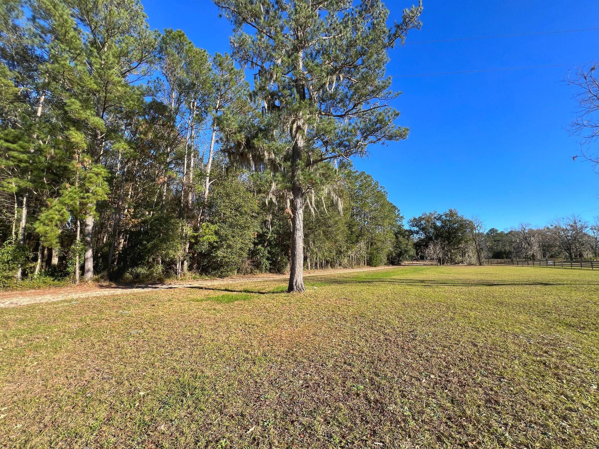 Alachua, Alachua County, FL Hunting Property, Homesites for sale