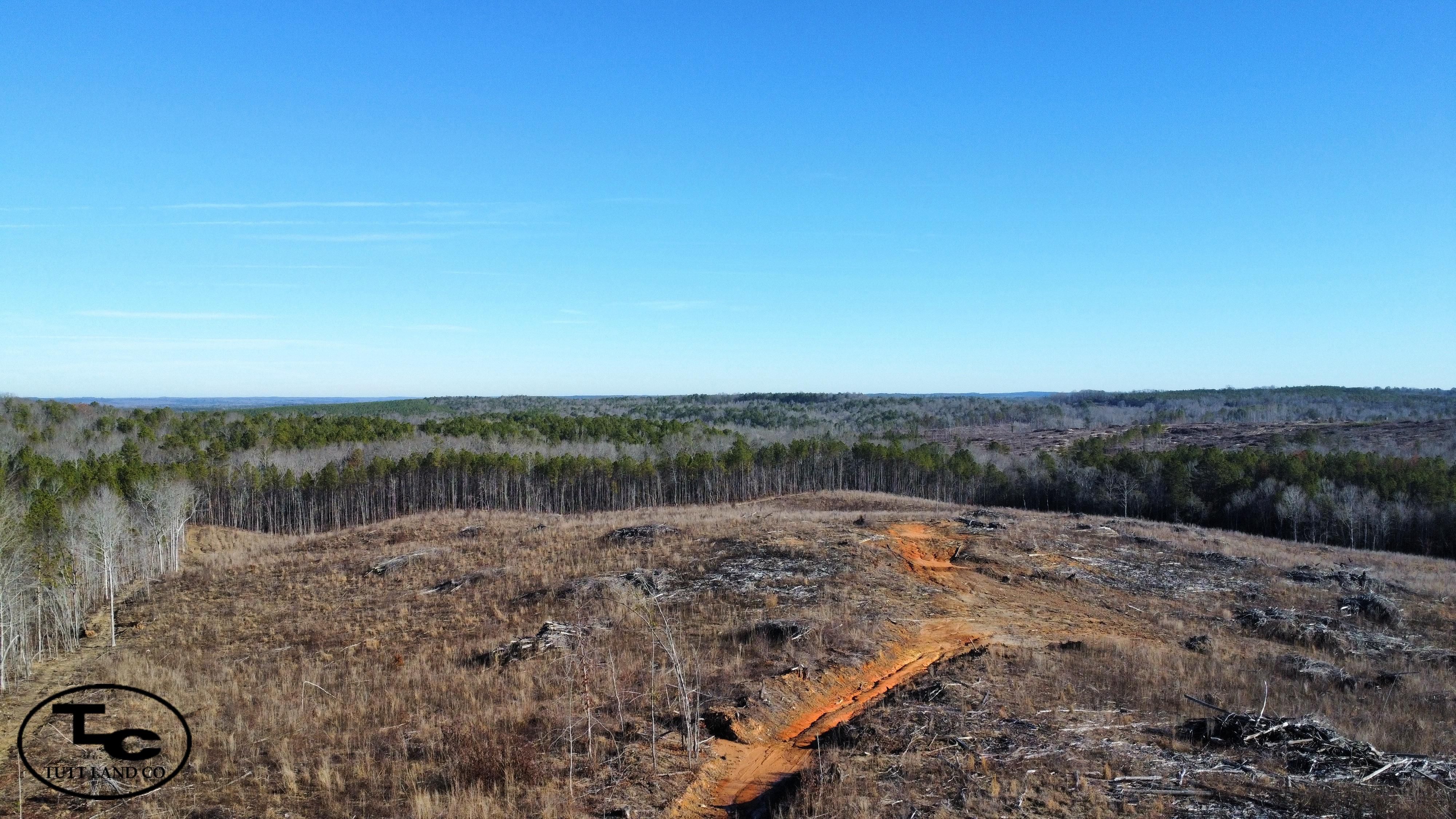 County Road 49, Fayette, AL 35555 LandWatch