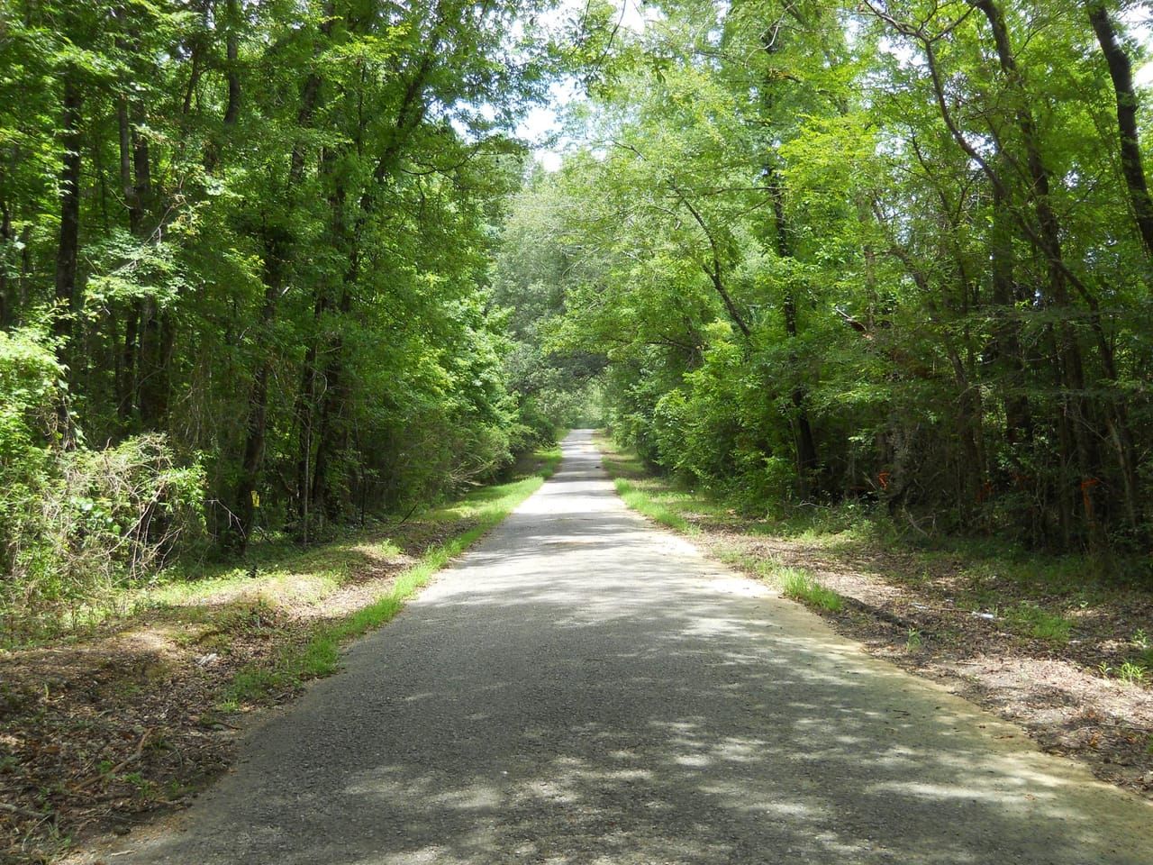 Fayette, Jefferson County, MS Hunting Property for sale Property ID