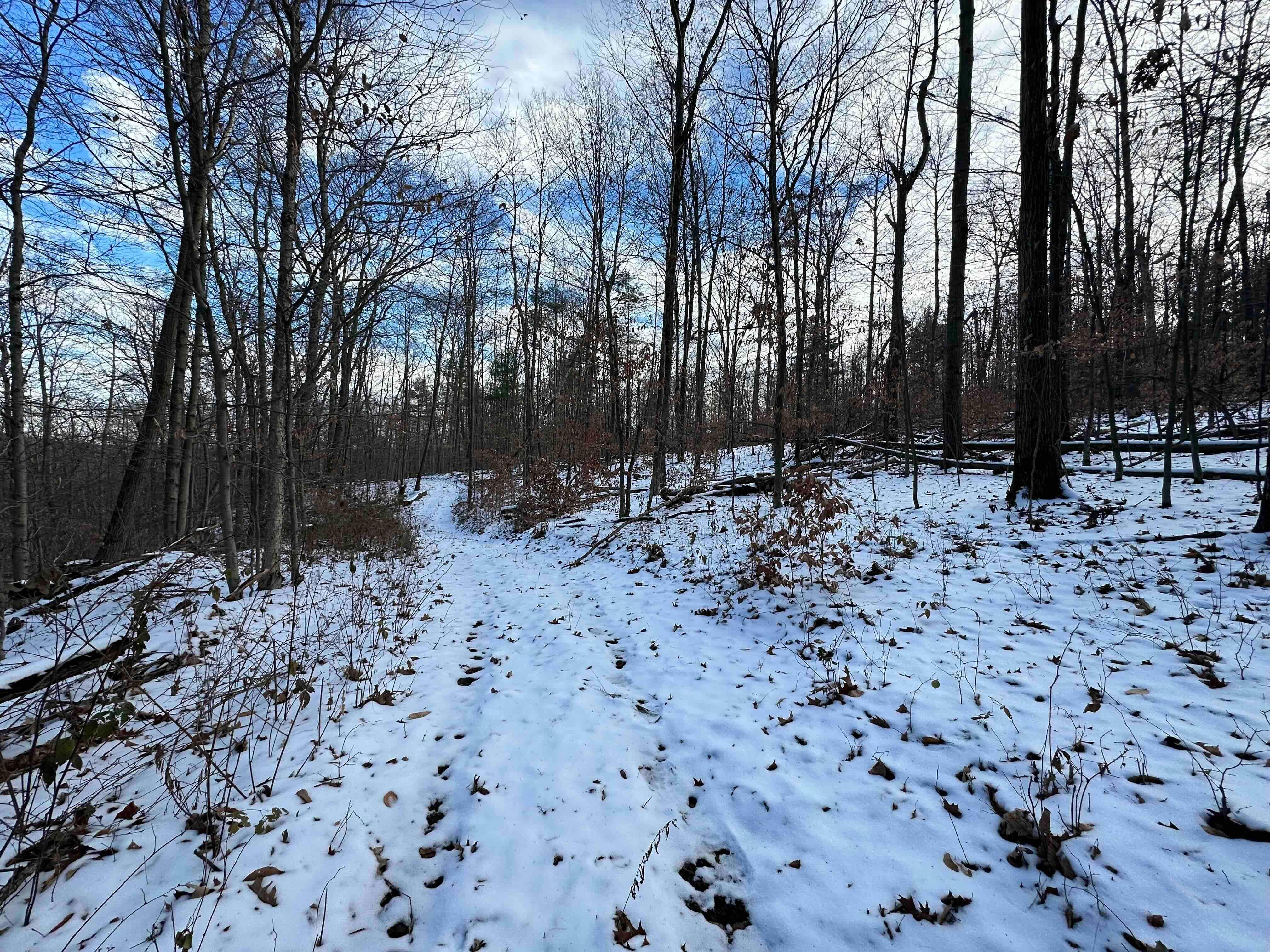 Beechner Road, Cohocton, NY 14826 LandWatch