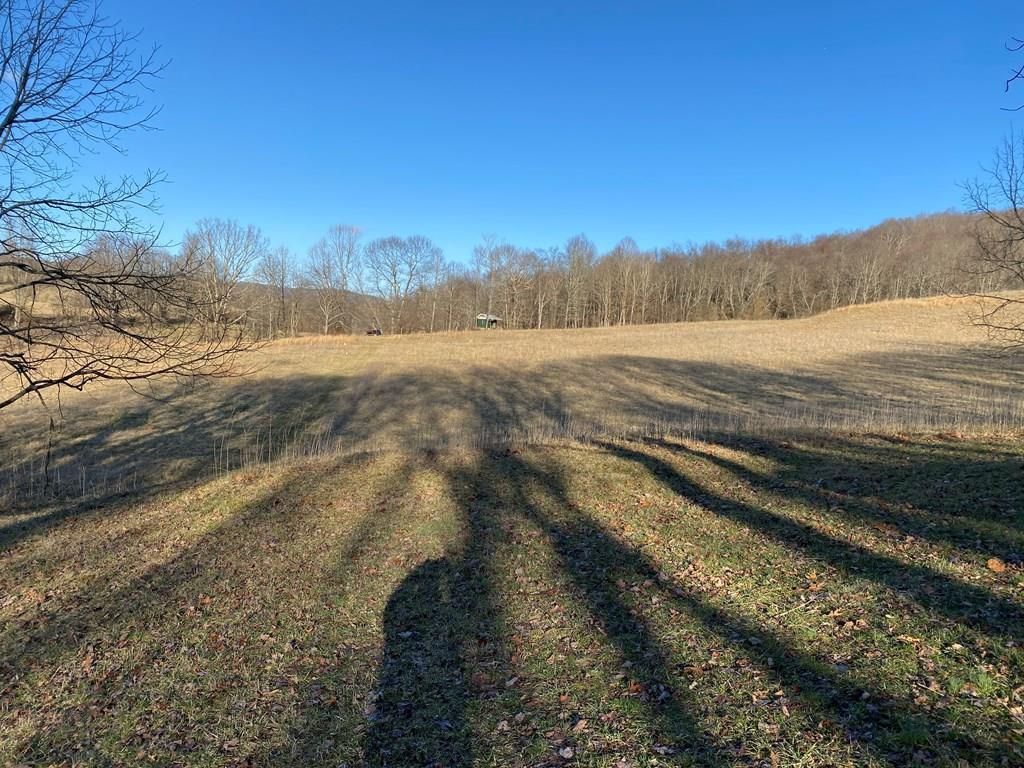 Crockett's Cove Road, Wytheville, VA 24382 MLS 84136 LandWatch