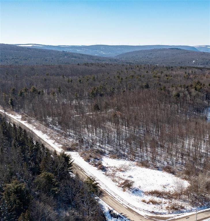 Naples, Yates County, NY Undeveloped Land for sale Property ID