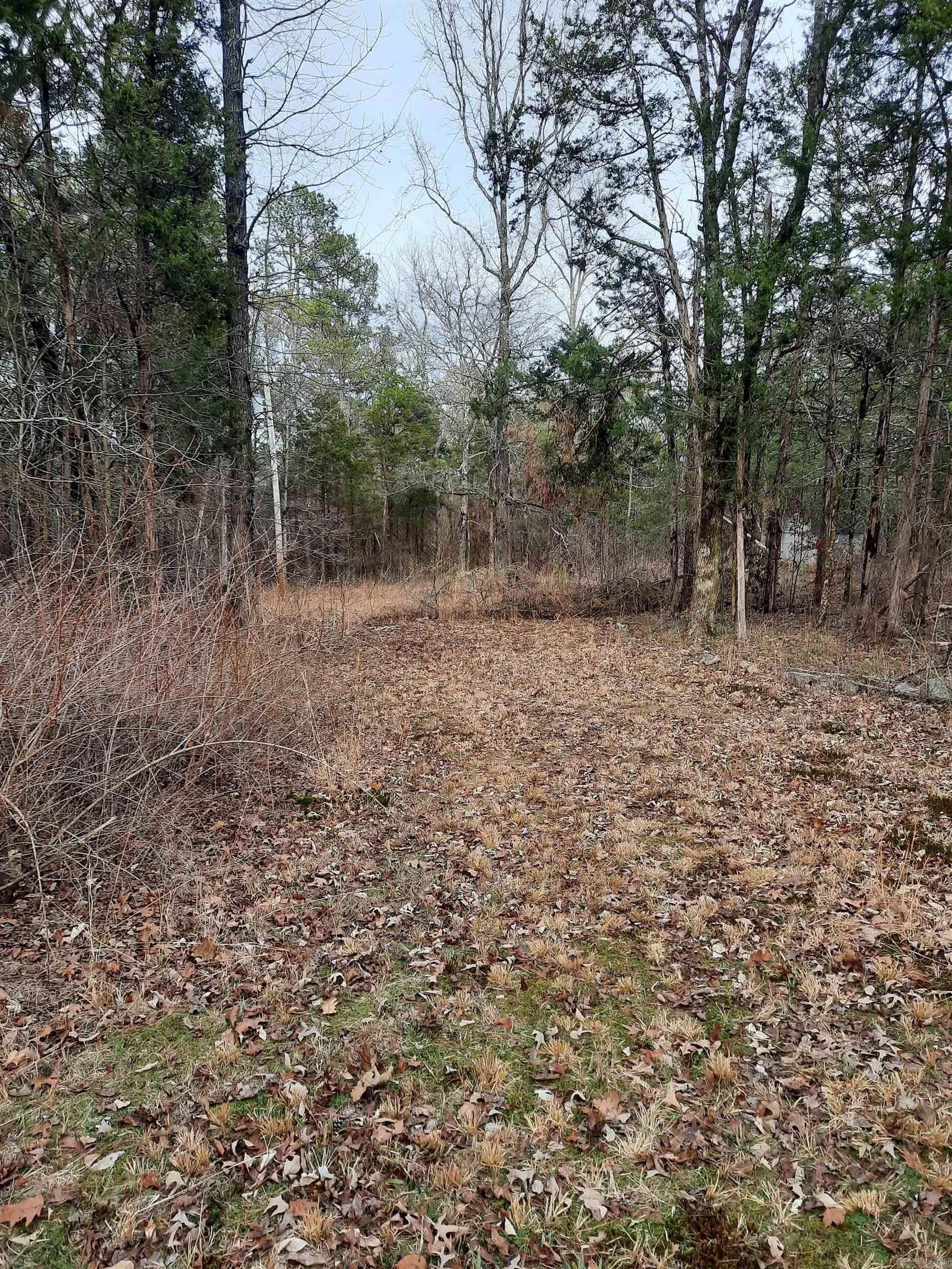Pleasant Grove, Stone County, AR Undeveloped Land for sale Property ID