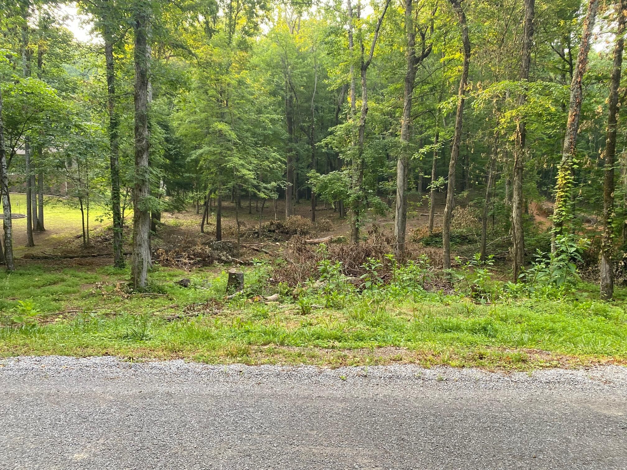 296 County Road 263, Niota, TN 37826 MLS 20240511 LandWatch