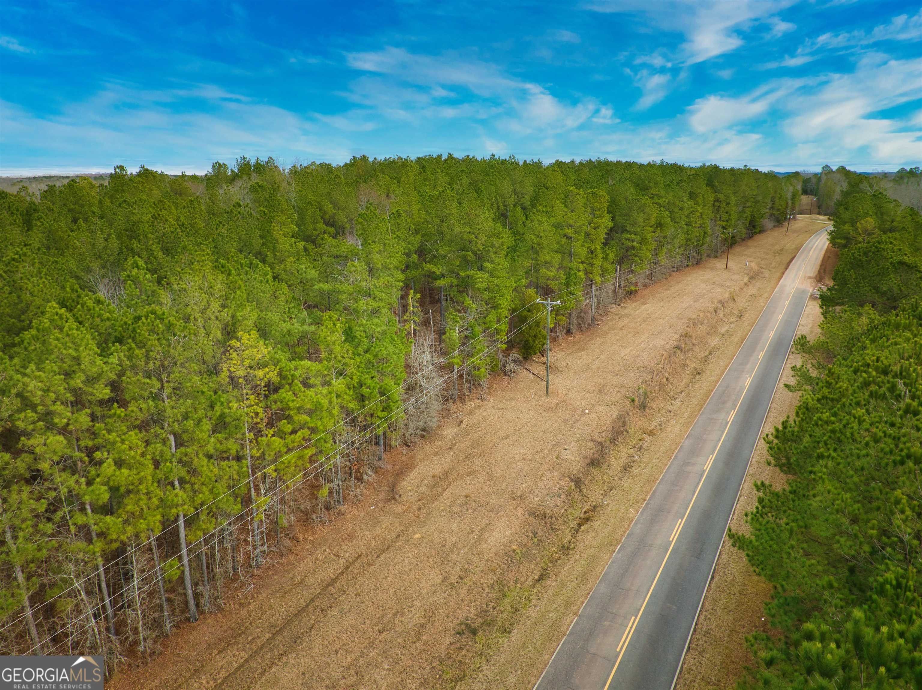 Culloden, Crawford County, GA Undeveloped Land, Lakefront Property