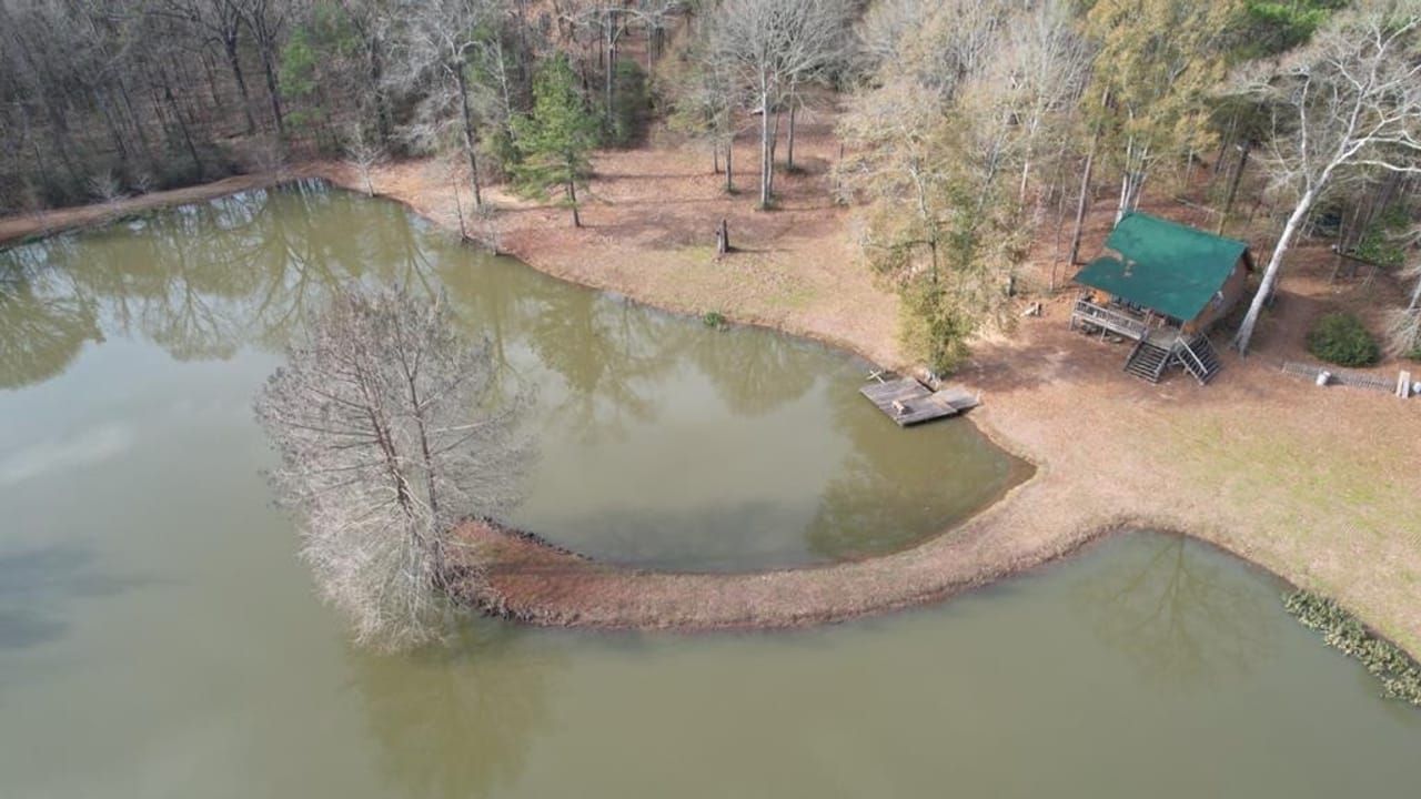 Centreville, Amite County, MS Recreational Property, Timberland